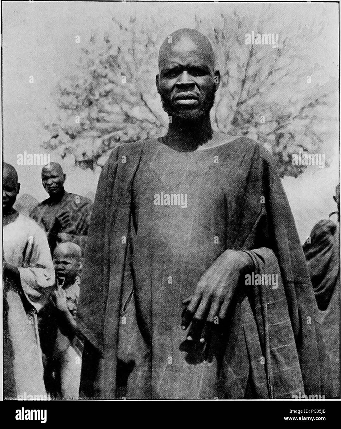 L'image représente le voyage de l'expédition Alexander-Gosling, documentant les espèces d'oiseaux rencontrées sur le chemin du Niger au Nil. Cette photographie capture une scène typique dans une ville Kanuri, illustrant la configuration du camp et l'interaction avec la faune locale pendant l'exploration de l'Afrique centrale. Banque D'Images