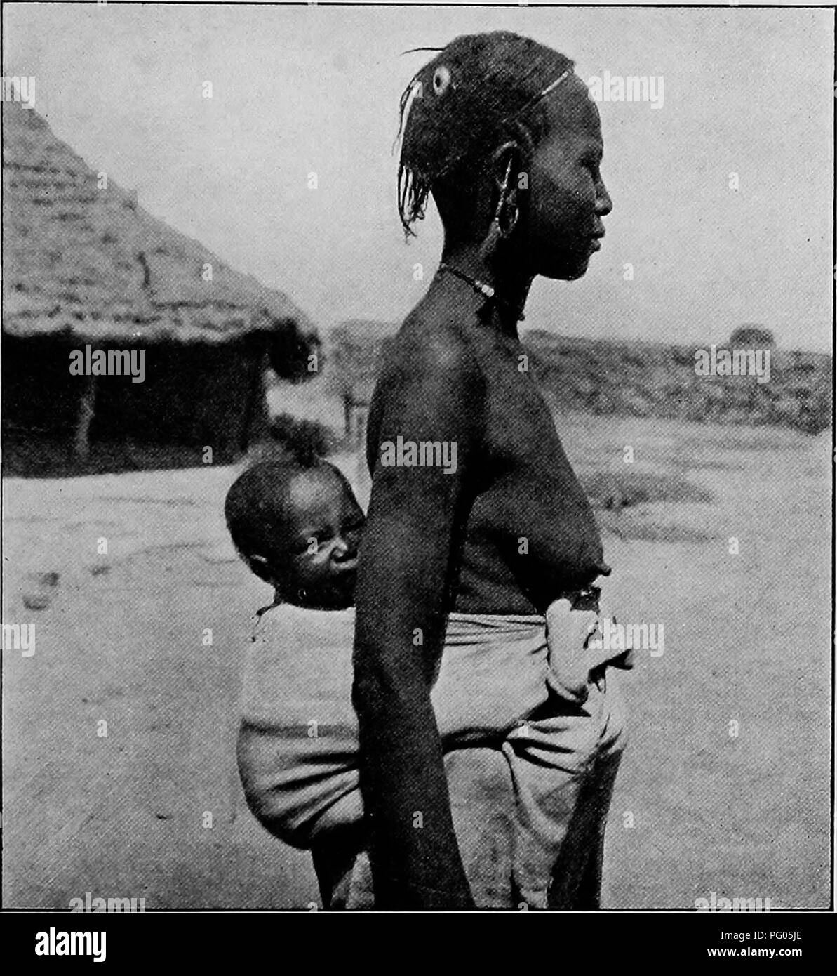 Cette illustration de l'expédition Alexander-Gosling documente les voyages du fleuve Niger au Nil. Il décrit le commerce, les défis rencontrés et les interactions avec les marchands locaux, ainsi que l'introduction de volailles vivantes dans le cadre de leurs provisions pendant le voyage. Banque D'Images