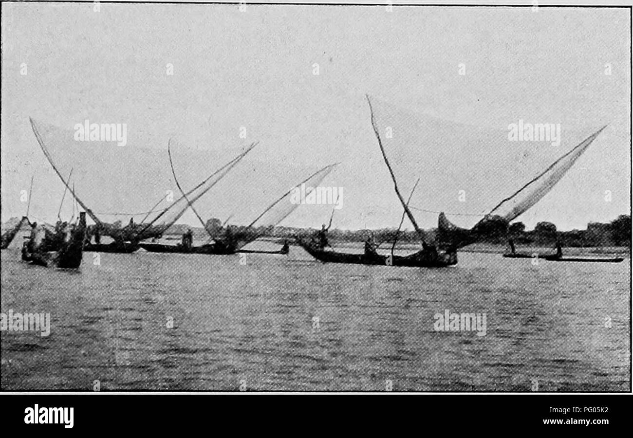 Ce travail documente le voyage de l'expédition Alexander-Gosling à travers l'Afrique, en particulier l'exploration des régions situées entre le Niger et le Nil. Il comprend des descriptions de la faune locale, y compris des espèces d'oiseaux, et des observations sur les populations de chevaux de la région et leurs conditions. Banque D'Images