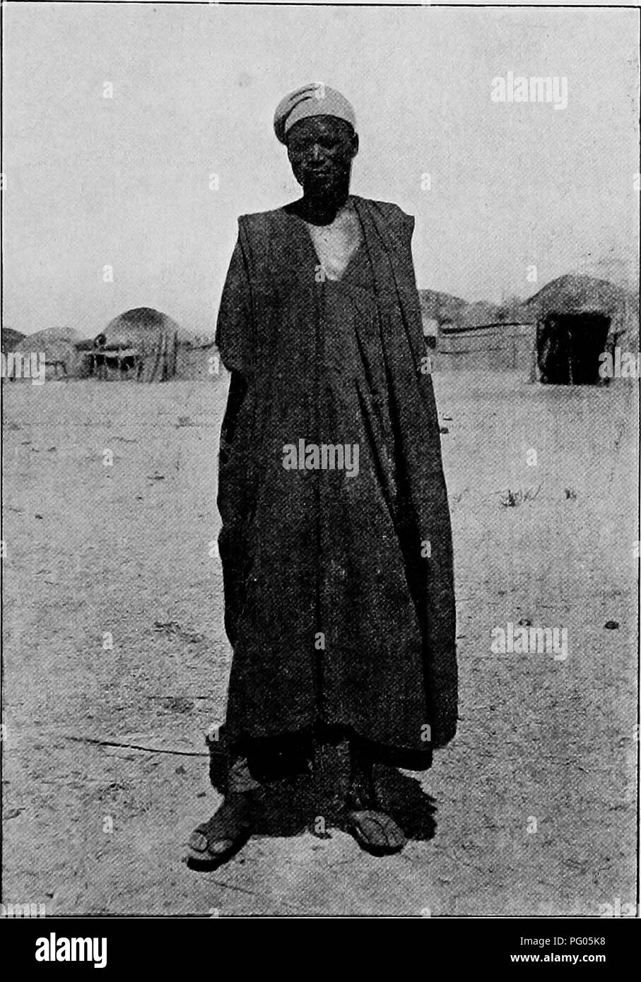 L'expédition Alexander-Gosling a exploré des régions du Niger au Nil, documentant diverses espèces d'oiseaux le long du chemin. Gulfei, célèbre pour son figuier, sa mosquée et son marché animé où les commerçants de toute la région se sont rassemblés, était un arrêt clé. Le peuple Kotoko, indigène de la région, a également été mis en évidence dans cette recherche. Banque D'Images