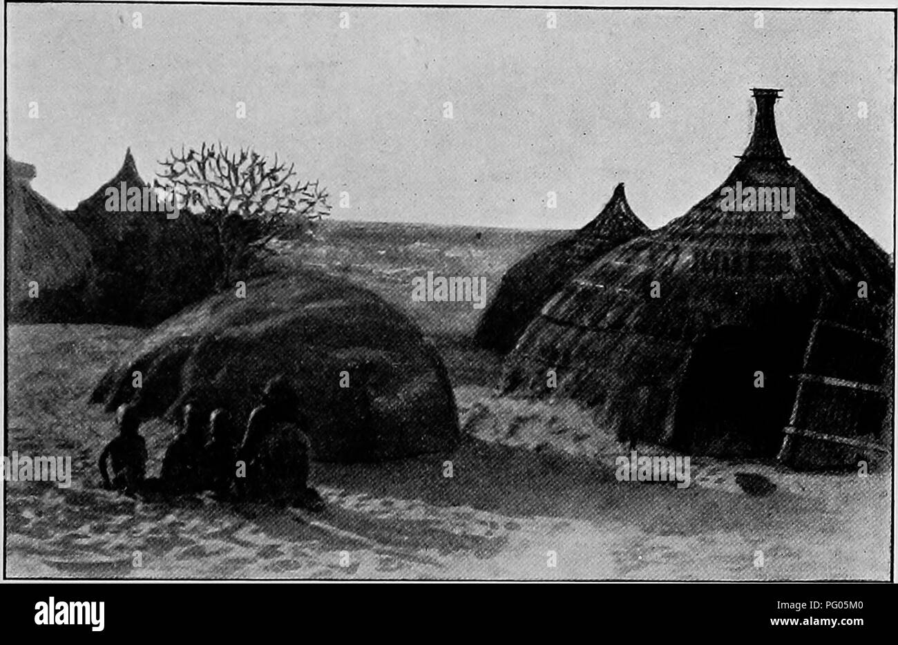 L'expédition Alexander-Gosling a voyagé du Niger au Nil, observant diverses espèces d'oiseaux en cours de route. Leur documentation met en évidence la diversité des oiseaux dans les régions africaines, y compris les îles Korbai de Buduma, connues pour leur riche biodiversité et leurs paysages uniques. Banque D'Images