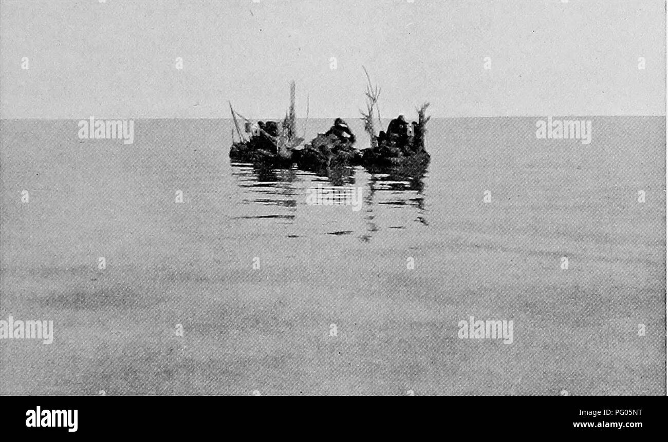 Un enregistrement de l'expédition Alexander-Gosling, qui a exploré les régions entre le Niger et le Nil. L'accent est mis sur l'étude des espèces d'oiseaux locales et les défis rencontrés pendant le voyage, y compris les interactions environnementales et culturelles. Banque D'Images