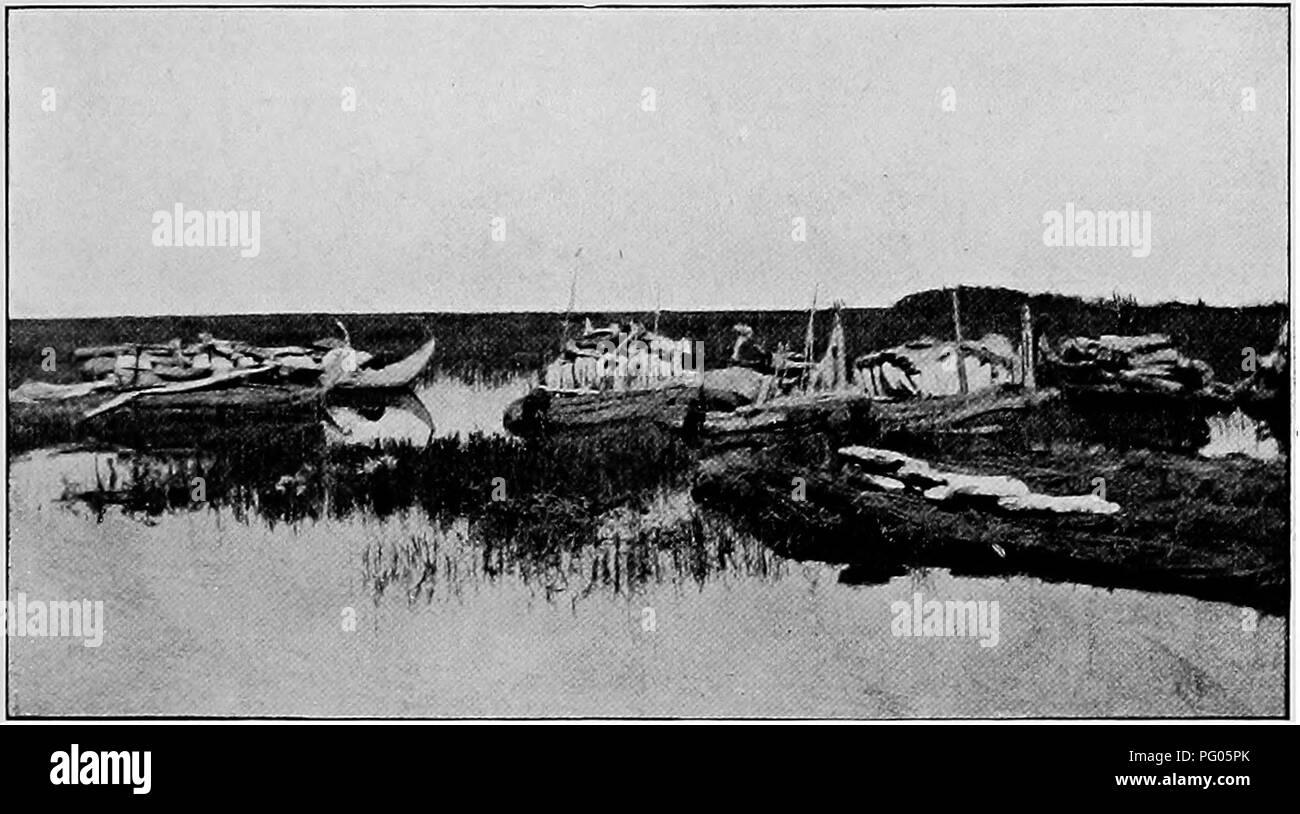 Le deuxième voyage de l'expédition Alexander-Gosling sur le lac 45 implique une préparation minutieuse du voyage, y compris l'approvisionnement et l'organisation de l'équipage. L’expédition visait à documenter les espèces d’oiseaux à travers les divers paysages de l’Afrique. Banque D'Images