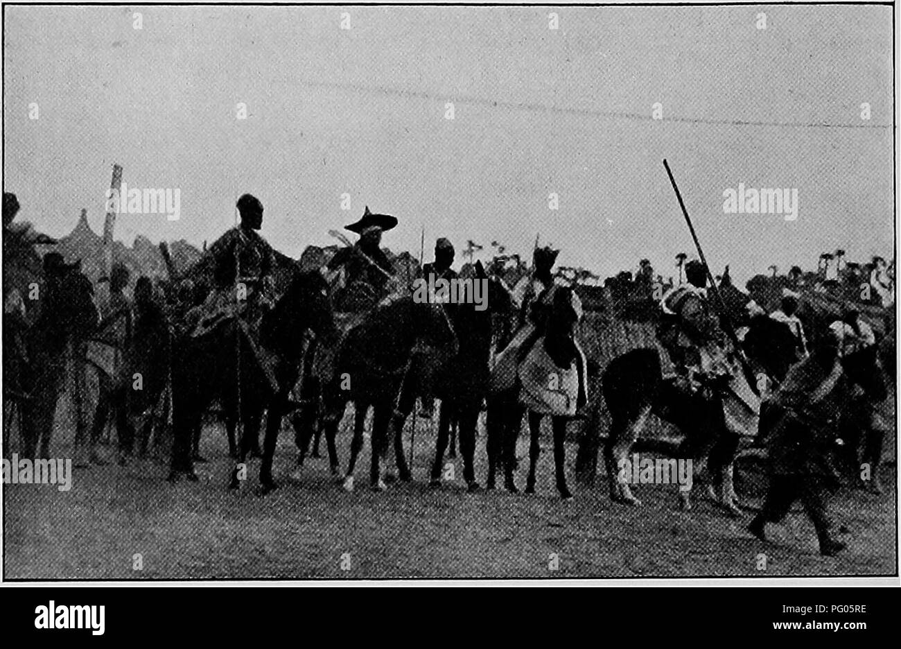 L'expédition Alexander-Gosling documente le voyage du Niger au Nil, y compris les interactions avec les tribus locales et la faune. Il décrit la formation d'une caravane sous la direction du Kachella et du roi Marchisg, détaillant l'organisation des forces et le rôle des éclaireurs dans la sécurisation du chemin. L'expédition offre un aperçu des espèces d'oiseaux et de la flore locale le long de la route. Banque D'Images