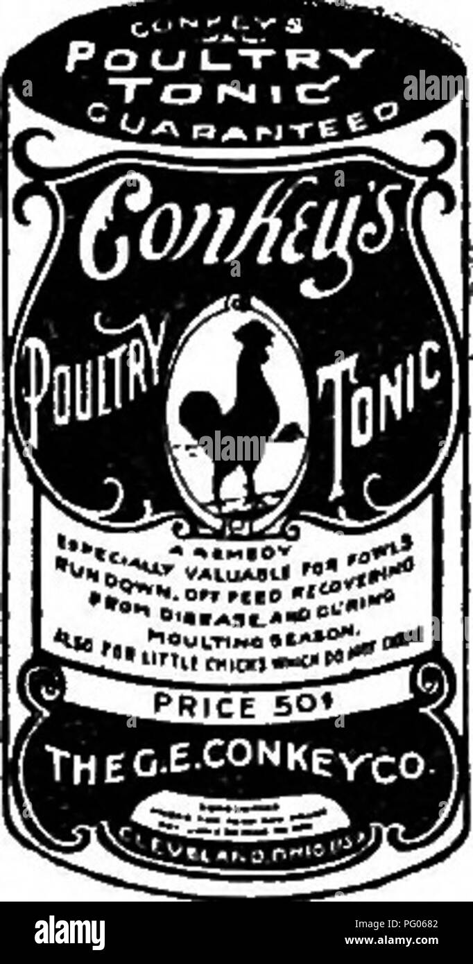 Ce guide de référence couvre les aspects essentiels de l'élevage de volailles, y compris le traitement de maladies telles que la diarrhée blanche chez les poussins. Il discute des remèdes et des mesures préventives pour les maladies courantes de la volaille, fournissant des solutions pratiques pour la gestion de la volaille. Banque D'Images