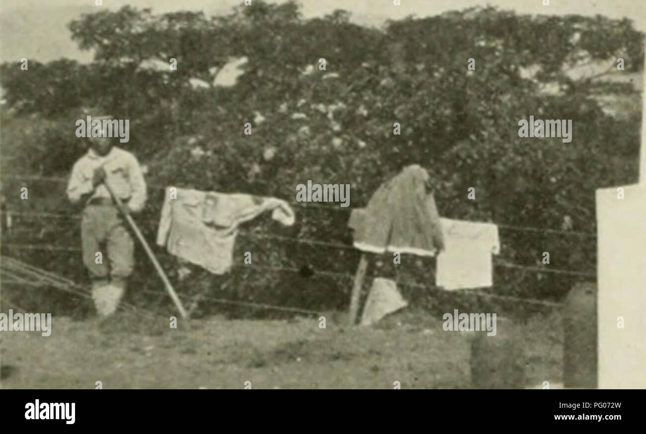 . L'examen de Cuba. . Veuillez noter que ces images sont extraites de la page numérisée des images qui peuvent avoir été retouchées numériquement pour plus de lisibilité - coloration et l'aspect de ces illustrations ne peut pas parfaitement ressembler à l'œuvre originale.. Munson Steamship Line. New York : Munson Steamship Line Banque D'Images