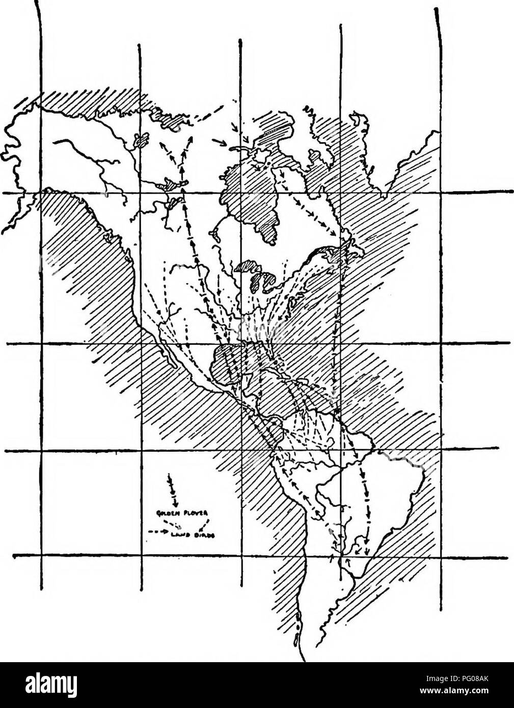 *The Bird Study Book* de T. Gilbert Pearson traite de la migration des oiseaux nord-américains. Il présente les routes migratoires et les comportements saisonniers de différentes espèces à travers le continent. Banque D'Images