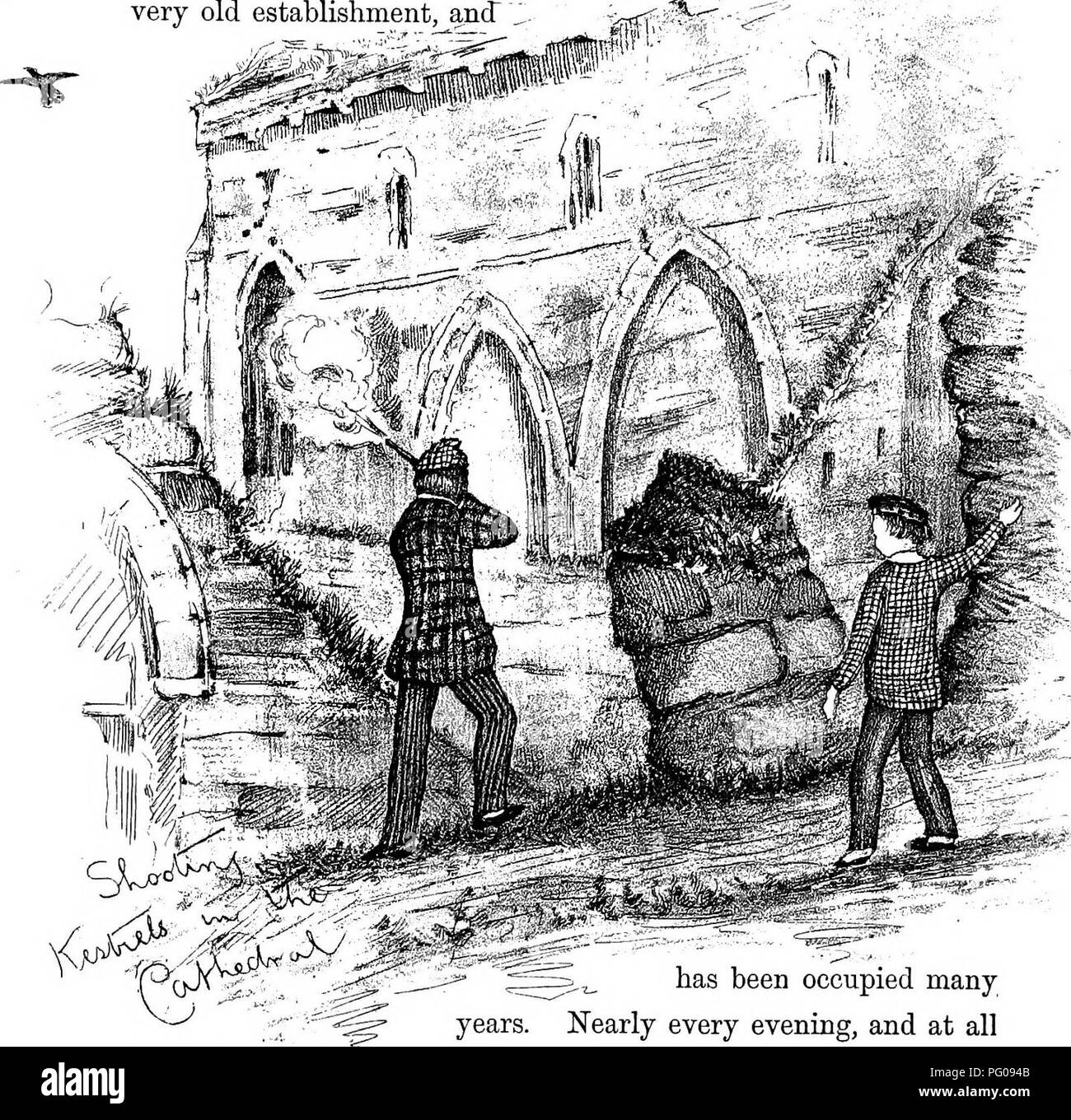 . Les oiseaux d'Iona &AMP ; Mull. Les oiseaux. Lettre III. 53 molesté l'année dernière dans l'espoir d'obtenir le jeune, dans laquelle j'ai été déçu en étant absent de l'île juste au moment où ils ont été véritable. Ce nid est un très ancien établissement, et" ^. a été occupé de nombreuses années. Presque chaque soir, et à toutes les époques de l'année, la vieille paire venir se percher dans son quartier. J'ai parfois observé leur faire eux-mêmes l'aise E. Veuillez noter que ces images sont extraites de la page numérisée des images qui peuvent avoir été retouchées numériquement pour plus de lisibilité - et l'aspect de coloration Banque D'Images