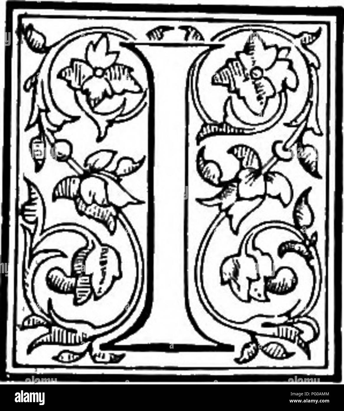 . Le livre de choix de fougères : pour le jardin, véranda, et cuisinière : décrire et donner des orientations culturelles explicites pour le meilleur et le plus frappant de fougères et selaginellas en culture. Illustrés par des plaques de couleur et de nombreuses gravures sur bois, préparés spécialement pour ce travail . Fougères ; Fougères. Le LIVRE DE CHOIX FOUGÈRES VOL. Mauvais, CHAPITRE L. OCHROPTERIS, /. Smith. (O-chrop'-ter-est.) N Hooker et Baker's " Synopsis Filicum" Ochropteris formes genre 22, et occupe une position intermédiaire entre Adiantum et Lonchitis dans la tribu Pteridece. Le nom est dérivé de ochros, pâle Banque D'Images