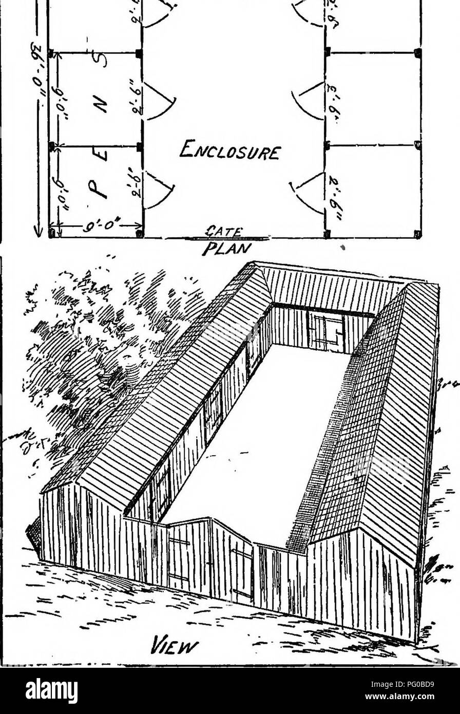 . Les élevages de volailles reproductrices et la gestion de l'entreprise de marchés. La volaille ; de l'industrie de la volaille. 21. ^^^^r 7y 1. FIG. 10.-un canard maison.. Veuillez noter que ces images sont extraites de la page numérisée des images qui peuvent avoir été retouchées numériquement pour plus de lisibilité - coloration et l'aspect de ces illustrations ne peut pas parfaitement ressembler à l'œuvre originale.. Victoria. Ministère de l'Agriculture. Ministère de l'Agriculture : Melbourne, Victoria Banque D'Images