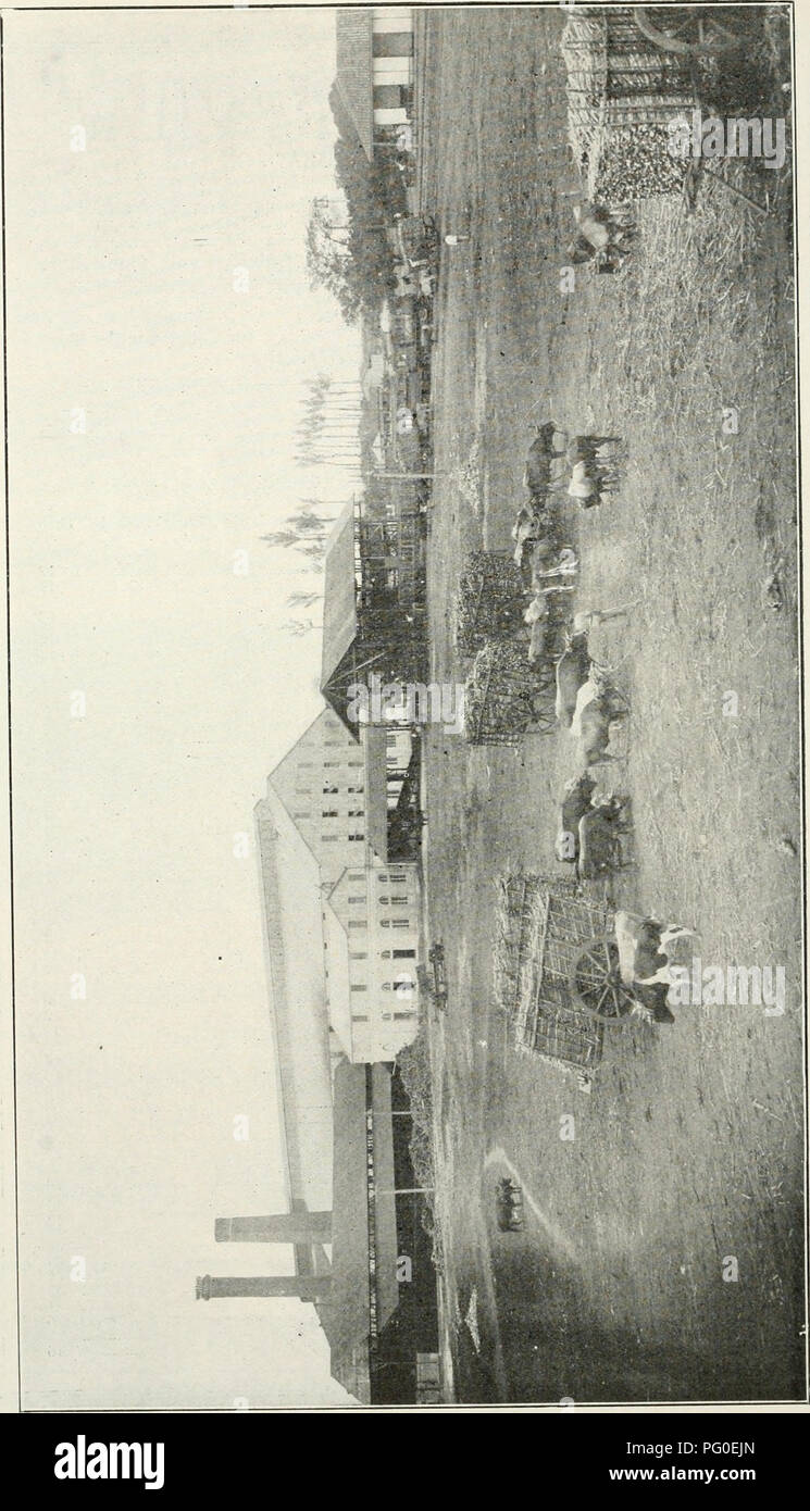 . L'examen de Cuba. . Veuillez noter que ces images sont extraites de la page numérisée des images qui peuvent avoir été retouchées numériquement pour plus de lisibilité - coloration et l'aspect de ces illustrations ne peut pas parfaitement ressembler à l'œuvre originale.. Munson Steamship Line. New York : Munson Steamship Line Banque D'Images