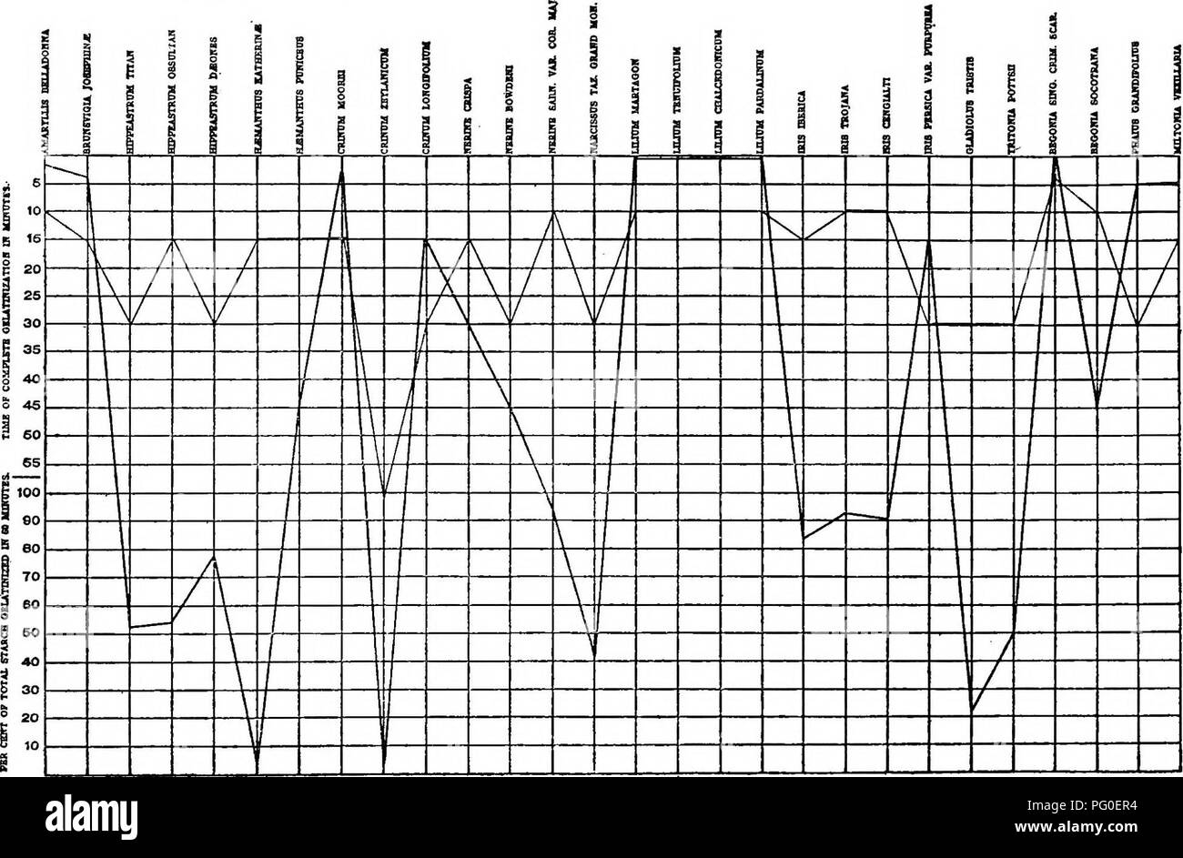 . Un biochemic base pour l'étude des problèmes de la taxonomie, l'hérédité, de l'évolution, etc., avec une référence particulière à l'amidon et des tissus de stocks-parent et hybrides-stocks et les amidons et l'hémoglobine de variétés, des espèces et genres. D'AMIDON ; biochimie ; hybridation des plantes ; les plantes. Graphique B 22.-l'acide nitrique-( ) et du salicylate de sodium ( ) Réactions.. Veuillez noter que ces images sont extraites de la page numérisée des images qui peuvent avoir été retouchées numériquement pour plus de lisibilité - coloration et l'aspect de ces illustrations ne peut pas parfaitement ressembler à l'œuvre originale.. Reichert, Edward Tyso Banque D'Images