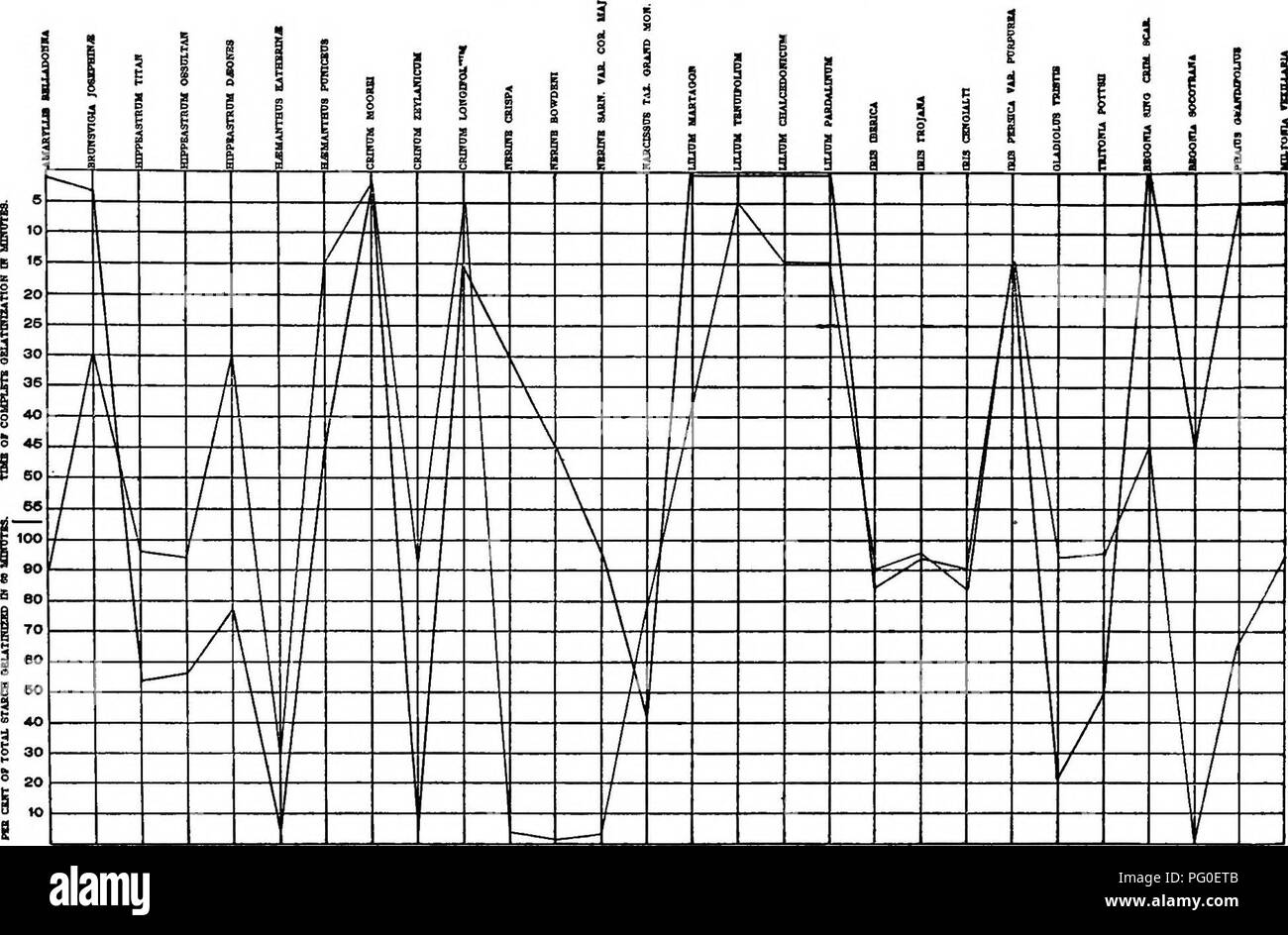 . Un biochemic base pour l'étude des problèmes de la taxonomie, l'hérédité, de l'évolution, etc., avec une référence particulière à l'amidon et des tissus de stocks-parent et hybrides-stocks et les amidons et l'hémoglobine de variétés, des espèces et genres. D'AMIDON ; biochimie ; hybridation des plantes ; les plantes. 194 Tableau B 13.-l'acide nitrique-( ) et ( ) ajouter-Pyrogalliques. Réactions. Graphique B 14.-l'acide nitrique-( ) et ( ) à l'acide sulfurique Réactions.. Veuillez noter que ces images sont extraites de la page numérisée des images qui peuvent avoir été retouchées numériquement pour plus de lisibilité - coloration et l'aspect de ces illustrations ne peut Banque D'Images