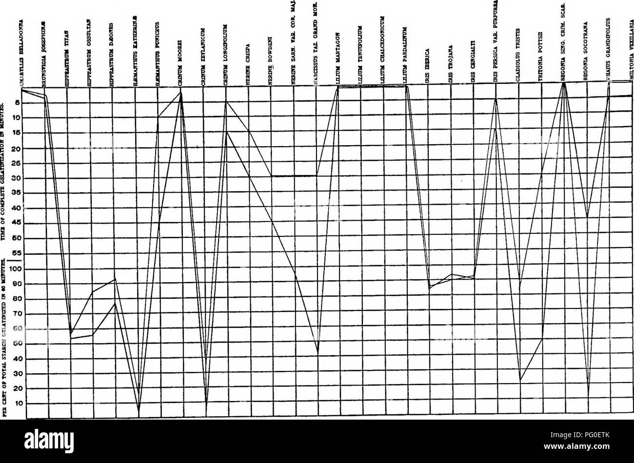 Ce travail explore les fondements biochimiques de l'étude de la taxonomie, de l'hérédité et de l'évolution, en mettant l'accent sur les amidons et les tissus des plantes. Il plonge dans l'hybridation des plantes et les traits génétiques à travers les espèces et les genres. Banque D'Images