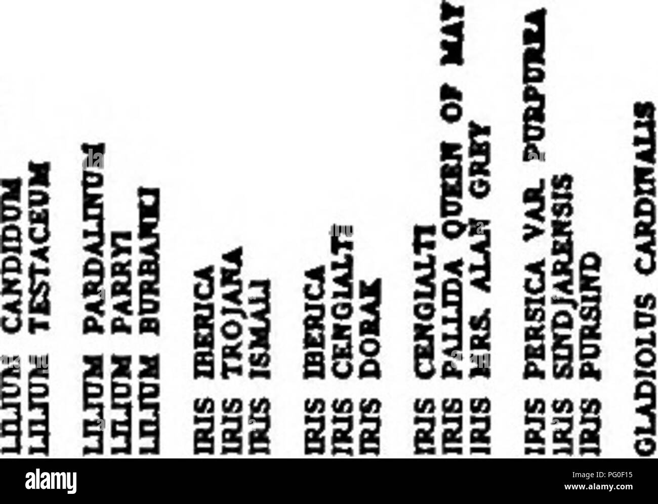 . Un biochemic base pour l'étude des problèmes de la taxonomie, l'hérédité, de l'évolution, etc., avec une référence particulière à l'amidon et des tissus de stocks-parent et hybrides-stocks et les amidons et l'hémoglobine de variétés, des espèces et genres. D'AMIDON ; biochimie ; hybridation des plantes ; les plantes. 186 Tableau A 23.-Cojyper-nitrate réactions. 11 mauvais Hi Hi m m j'^^i ii iii iii 'A il ^» ^^^ PII malade i III b6u I" je" II' III "I. est 38 J'§11 mauvais 11 Bss lis ii tr n III SiiB sss III iii i^' JE 6065 ! 100 Tableau A 24. lgi-chlorure cuivrique-réactions.  ! 35 J 40 ! O I 60 ss ! J' ai 80 100 80 70 60 l^g | Banque D'Images