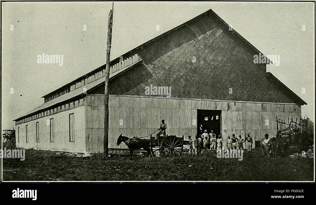 . L'examen de Cuba. La CUB UN EXAMEN 15. Une usine d'engrais de Plantation, Santa Clara) l'industrie des engrais à Cuba par H. 0. Neville il n'y a aucun doute que le ahnost impression universelle parmi ceux qui ne sont pas familiers avec les détails de l'agriculture de Cuba, c'est que ses sols sont riches au-delà de l'imagination, et qu'en conséquence, l'utilisation d'engrais serait superflue. Il ne fait aucun doute également que d'une manière générale, il y a eu une période dans l'histoire de Cuba quand de loin la plus grande partie de sa région était couverte d'immenses forêts tropicales vierges, et qu'à ce moment l'utilisation d'engrais ou Banque D'Images