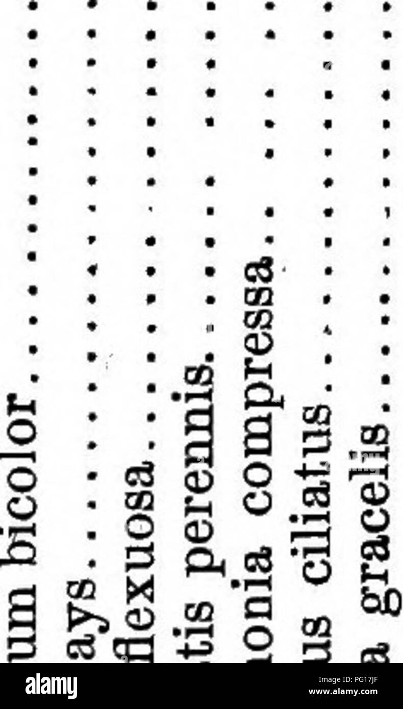 . Les herbes du Tennessee ; y compris les céréales et les plantes fourragères. Les plantes fourragères graminées ; ; le grain. 74 Les graminées du Tennessee. Â Si est est OPS S a M e3 d â¢H JO Â Â ti on§2 â¢5-S Un iÂ" "2S222 "S&amp;Â"s (3SSPSS5.SS la .3 * o 3 o o Â£ : un â .3 .9.-3.3 JS 13 S 1*1 *8 I 6 3 3 p CO CO ts d'un ATS Â° a s a o a u o u bO &gt ;&gt ; &gt ;&gt ; >je bQ >s <l 1-9 1-3 Hj 03 ,q r^ e3 03 -t- dbo 3 si jo 03 Â" S Â£ S£ Â 'C' -c "S '^ - Sea -t-S -Â Â" --H-H CO RENDEZ 3 CD  = 3 O 5k d d   o bD être bo bo C O O O ft ft ft ft OOOO U Fh fcn U -O T3 T3 'C - 3 -5 -5 Â" Â° ^js a a a a g-3 -§ 3 J -3 Bo Bo Bo Bo f Banque D'Images