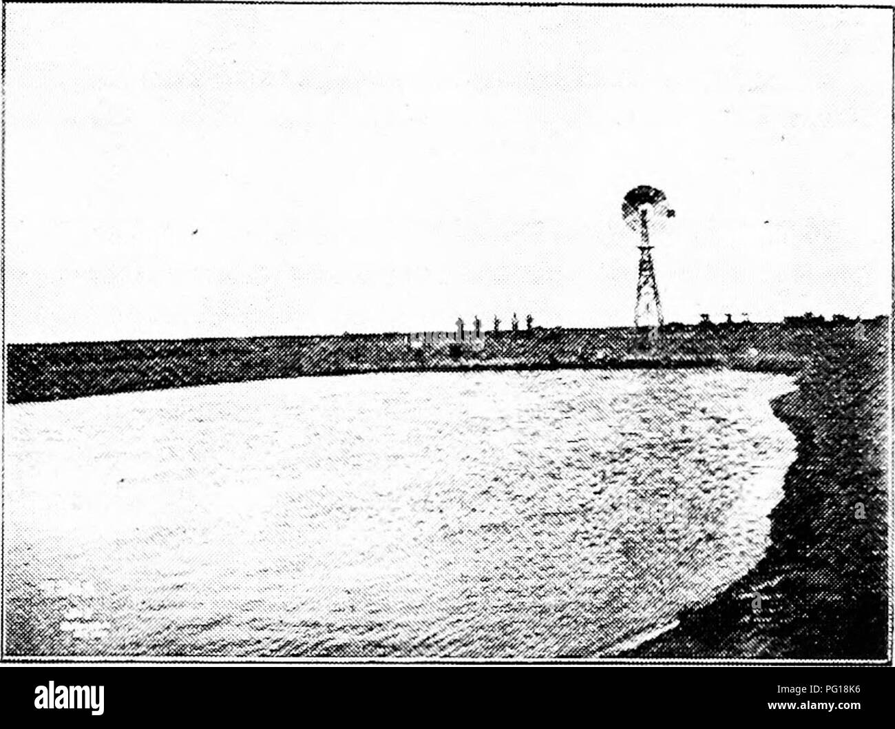 Ce texte traite de l'histoire du bétail de Hereford, une race connue pour son économie et son aptitude à l'élevage au Texas. Connu pour produire du bœuf de haute qualité, Herefords est devenu une race clé pour la région, aidant les éleveurs à maintenir de bonnes conditions de bétail pendant les hivers rigoureux et assurant des cycles de reproduction productifs. L’adaptabilité de la race et sa forte génétique en font un choix populaire parmi les éleveurs. Banque D'Images