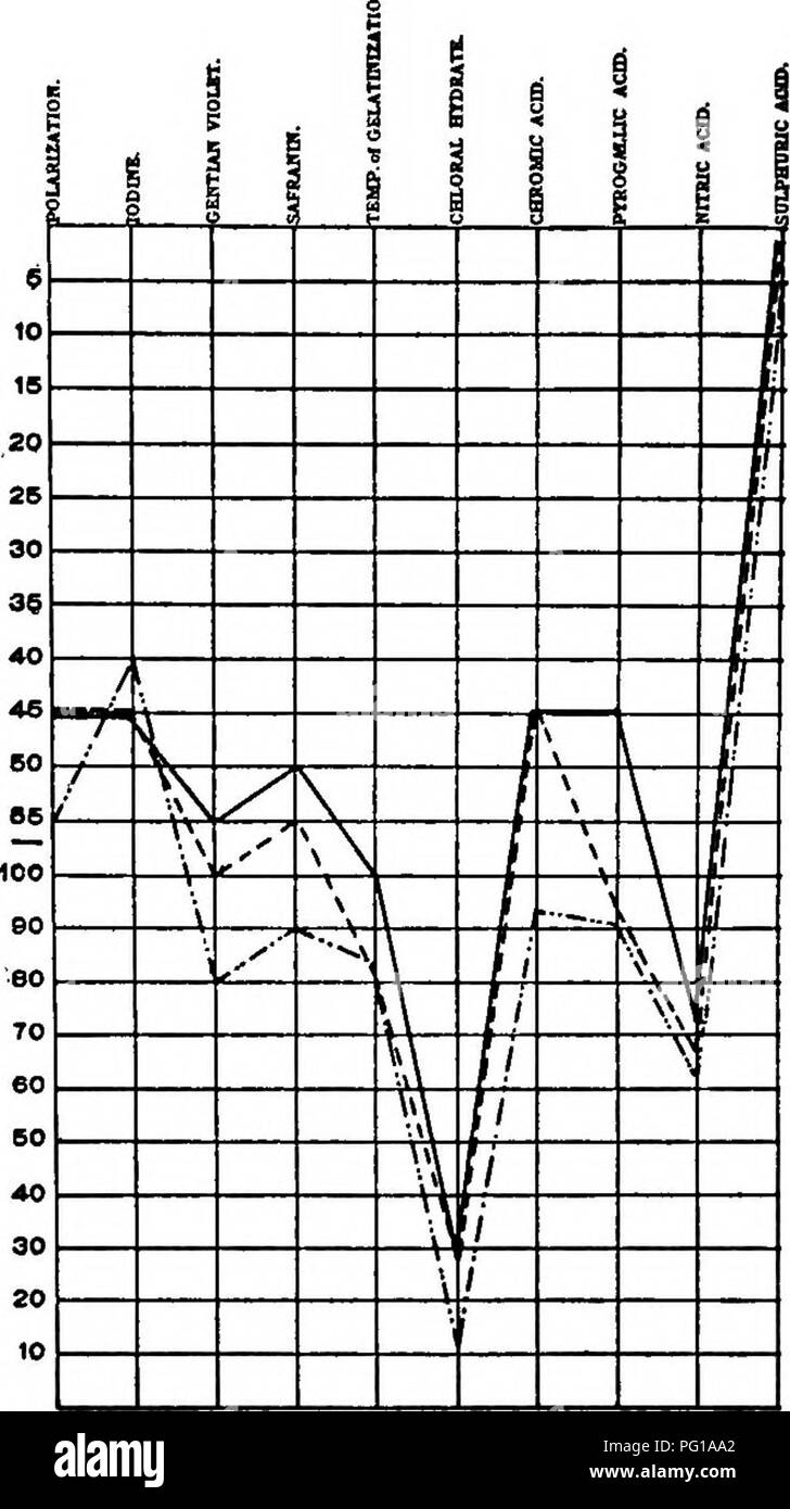 . Un biochemic base pour l'étude des problèmes de la taxonomie, l'hérédité, de l'évolution, etc., avec une référence particulière à l'amidon et des tissus de stocks-parent et hybrides-stocks et les amidons et l'hémoglobine de variétés, des espèces et genres. D'AMIDON ; biochimie ; hybridation des plantes ; les plantes. 272 100 42 95 45.S'' 90 4T.S' 85- donc eo 62,5* TS ss- rf à 6T.5' j 65 8 65 60 Une EO 3^ * geo' 162,5' ges- S 8T.5- à- S 40 1 "S" 135 B76' B 3o T7.6* ZS 80* 20* 15 82,5 10 87,5 es"' S 90- B2.6' Chaht E. Graphique E 24.-courbes composites des amidons et de narcisse empereur ( ), Narcisse tri- ou Banque D'Images