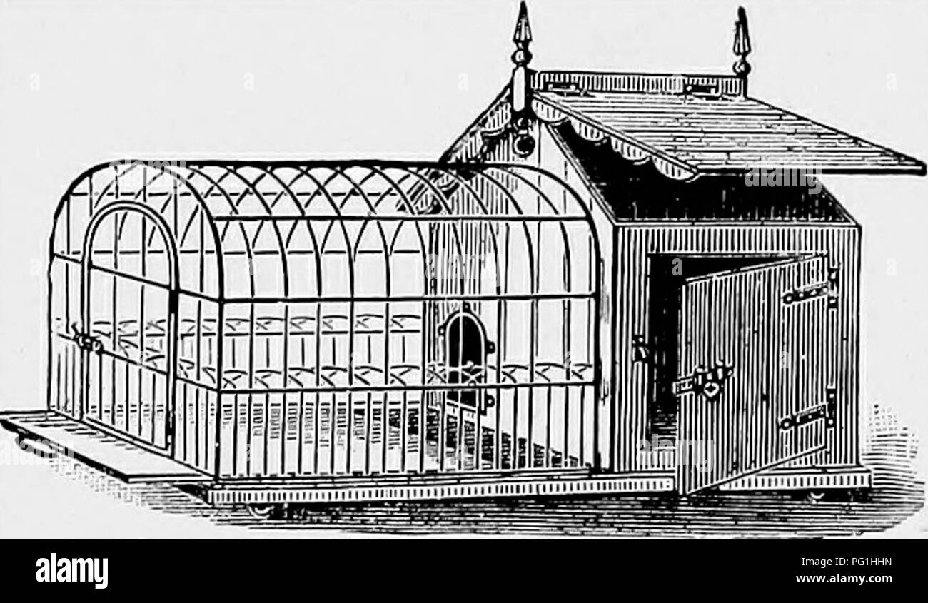 Ce livre fournit un aperçu détaillé des races de chiens britanniques et de leurs parents internationaux. Il couvre des sujets tels que l'élevage, la gestion du chenil et les soins vétérinaires, mettant en évidence l'histoire et le développement des chiens en Grande-Bretagne. Le livre offre également des conseils pratiques aux propriétaires et éleveurs potentiels de chiens, soulignant l'importance de conseils d'experts dans l'achat et le soin des chiens. Banque D'Images