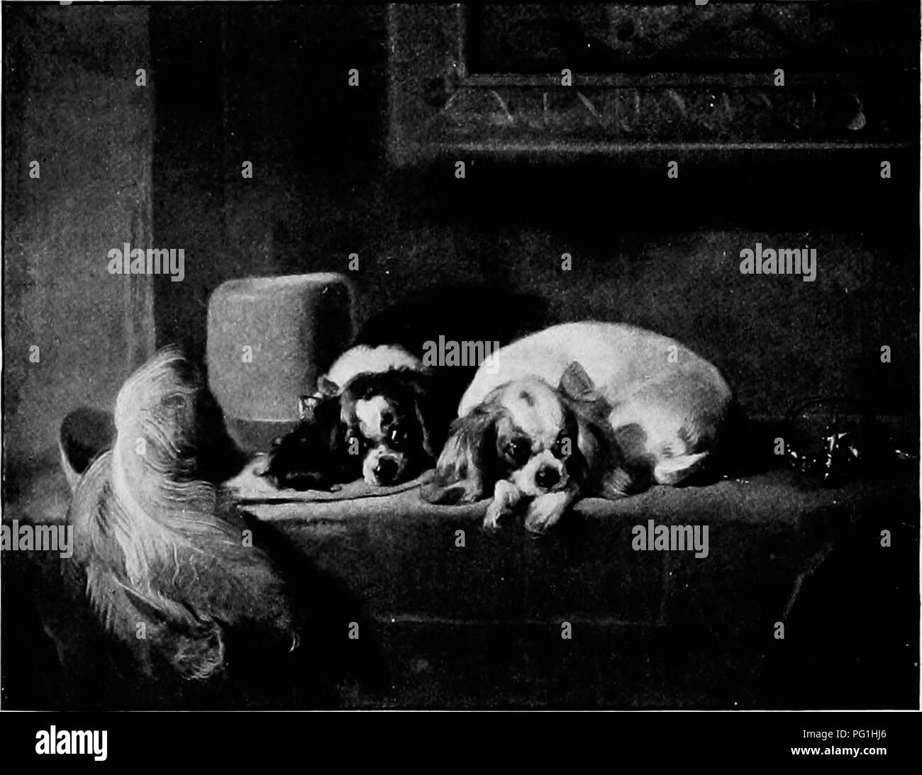 . Le nouveau livre du chien ; une histoire naturelle de la les chiens et leurs parents à l'étranger, avec des chapitres sur le droit, la reproduction, l'élevage, de gestion et de traitement vétérinaire. Les chiens. Le KING CHARLES. Liens 433 propre chien, et sans doute a été volé, l'ior chien n'a pas né ni produites en Angleterre, et qu'il n'abandonnera jamais son maître. Quiconque trouve lui puisse informer tout à Whitehall pour le chien était plus connu à la Cour, que ceux qui lui ont volé. S'ils ne quittent jamais voler Sa Majesté ? Il ne doit pas garder un chien ? Ce chien's place (bien que mieux que d'imaginer) est le seul endroit qui n Banque D'Images