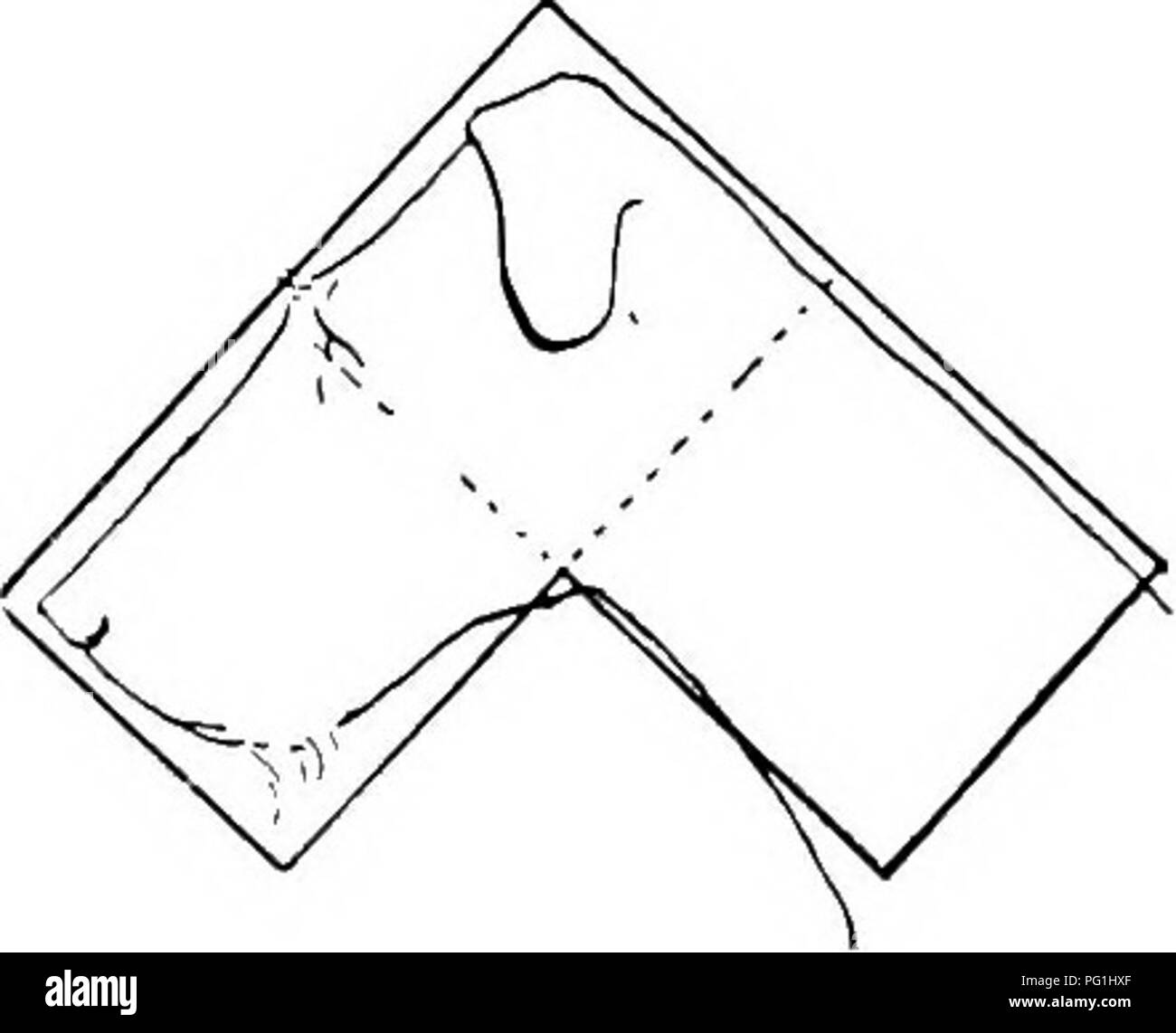 . Le nouveau livre du chien ; une histoire naturelle de la les chiens et leurs parents à l'étranger, avec des chapitres sur le droit, la reproduction, l'élevage, de gestion et de traitement vétérinaire. Les chiens. M. S, WILSONS CH. BOLTON WOODS MIXER. Vainqueur DE DEUX MILLE PRIX. les jambes, et des pieds, mais dans le sens de ces points de grandes améliorations ont récemment été observable. Les chefs de nos terriers irlandais ont également été brough-t plus près à un niveau de perfection, ciselées pour le degré souhaité de la maigreur, avec l'expression déterminée si caractéristique de la race, et avec la longueur, d'orthogonalité et streng Banque D'Images
