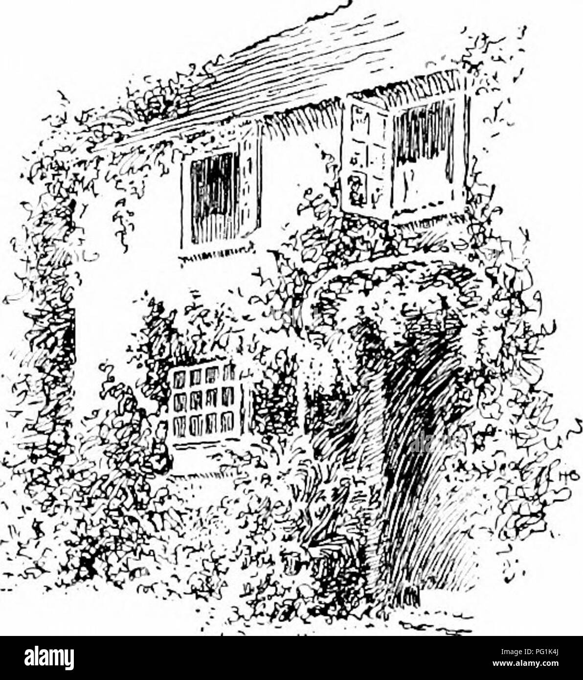 . Manuel de jardinage ; un guide pratique à l'établissement d'accueil et de la culture des fleurs, des fruits et des légumes pour une utilisation à domicile. Le jardinage. Rendez-vous du manuel de jardinage. 57. Un vieux porte. efficace que vingt fleurs dans le centre de la pelouse. Plus dépend de la posi- tion que les plantes occupent en référence à l'autre et à la conception de la structure de l'endroit, que sur les mérites intrinsèques des plantes elles-mêmes. Paysagiste, alors, est l'embellissement du territoire de manière qu'elles aient une nature-paysage ou comme effet. Les fleurs et les accessoires peuvent heig Banque D'Images . Manuel de jardinage ; un guide pratique à l'établissement d'accueil et de la culture des fleurs, des fruits et des légumes pour une utilisation à domicile. Le jardinage. Rendez-vous du manuel de jardinage. 57. Un vieux porte. efficace que vingt fleurs dans le centre de la pelouse. Plus dépend de la posi- tion que les plantes occupent en référence à l'autre et à la conception de la structure de l'endroit, que sur les mérites intrinsèques des plantes elles-mêmes. Paysagiste, alors, est l'embellissement du territoire de manière qu'elles aient une nature-paysage ou comme effet. Les fleurs et les accessoires peuvent heig Banque D'Images