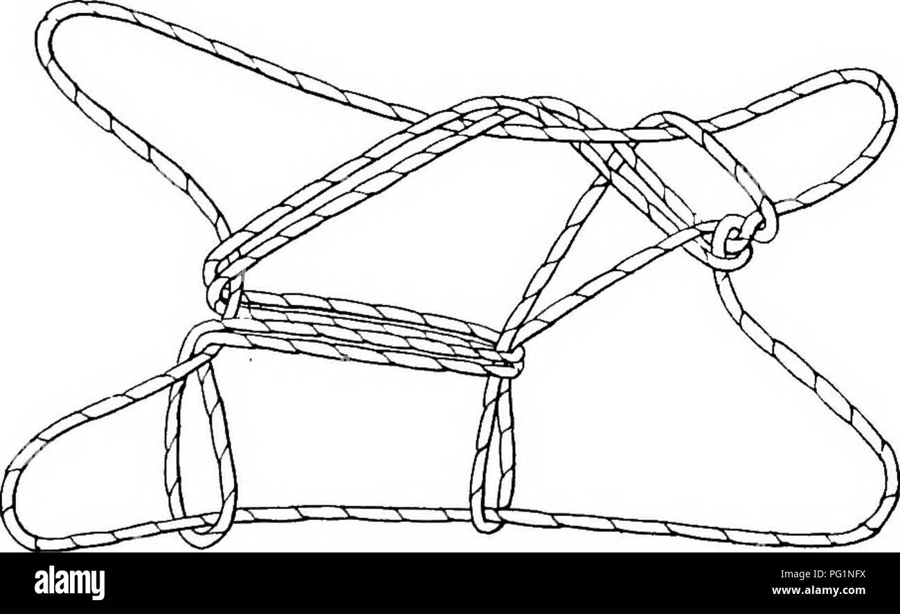 . Rapport de l'Expédition arctique canadienne 1913-1918. Des expéditions scientifiques. Fig. 206 â CXXXVII. L'ours polaire Cette figure s'appelle ndnoq, "l'ours polaire," tout au long de la côte du golfe du Couronnement à Barrow. Boas a la même figure, avec le même nom, à partir de la côte ouest de la baie d'Hudson et de la baie Cumberland, l'île de Baffin ; et Kroeber trouvés le même nom pour elle parmi les Esquimaux du détroit de Smith. Faire "les deux" (fig. 206). Prendre jusqu'à chaque pouce de l'extrémité proximale du côté extérieur de la chaîne haut plus près de Diamond et katilluik. Deux cordes qui se croisent maintenant exécuter à partir de Banque D'Images