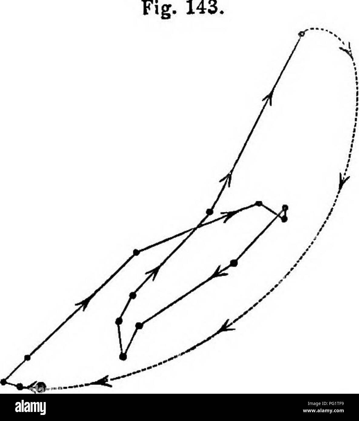 . La puissance de mouvement dans les plantes . Les plantes, la botanique. CmCUMNUTATION 352 modifié. Le chapitre VII. TrifoHum nyctitropic resupinatum : circumnutation et mouvements de la ter- minal notice pendant 24 heures. incurvé, une ligne brisée. La foliole terminale, par conséquent, de cette espèce décrite au cours de la journée, qu'un seul autre ellipse, au lieu de deux autres, comme dans le cas de T.. suhterraneum Mais nous ne devons pas oublier que c'est indiqué dans le quatrième chapitre que la tige comme circmnnutates, aucun doute n'est le principal et le pétiole sous-pétioles ; de sorte que le mouvement représenté à la fig. 143 est un c Banque D'Images