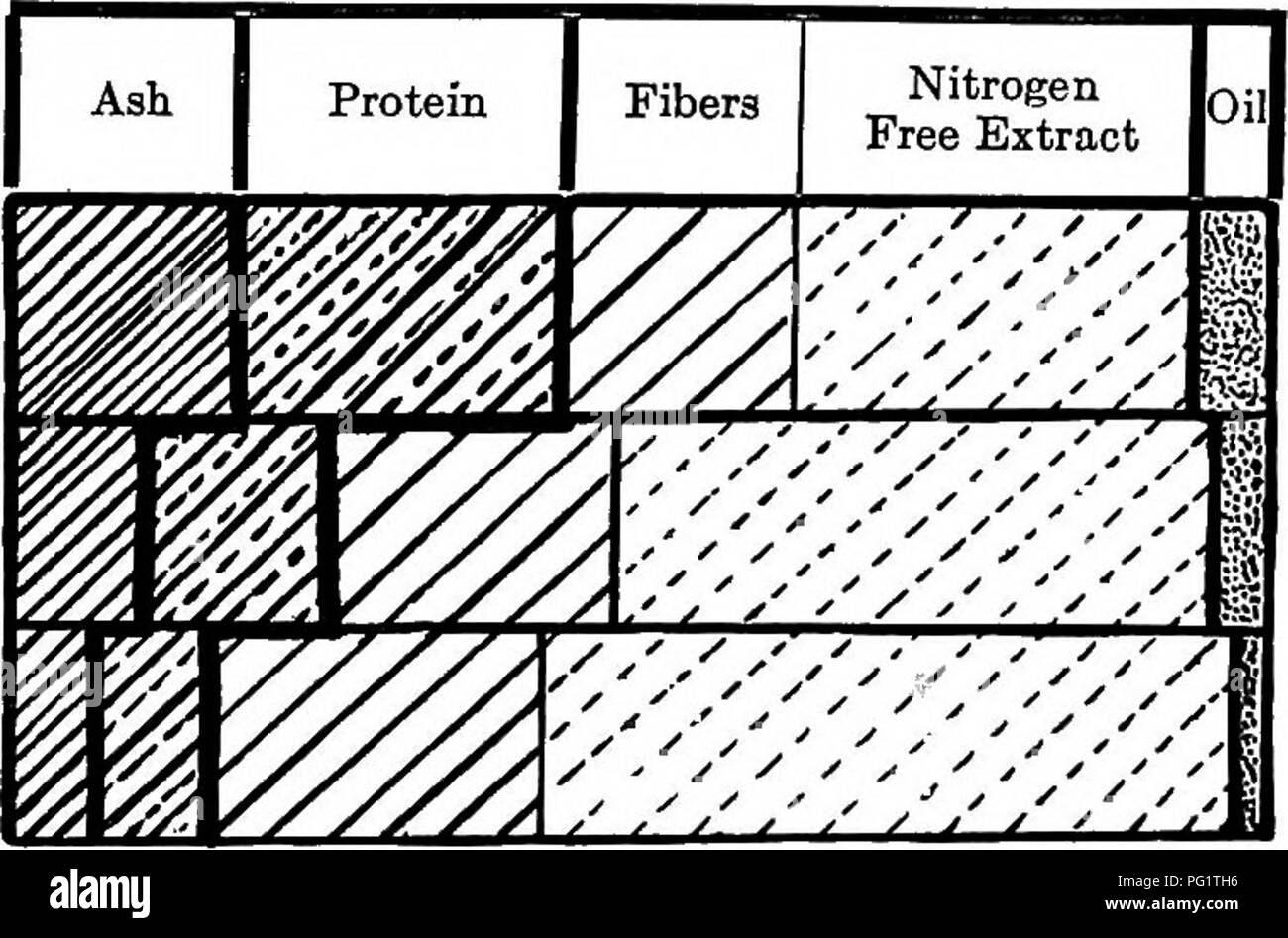 . Les cultures de maïs : une discussion sur le maïs, et le sorgho comme kafirs, cultivé aux États-Unis et au Canada. Maïs, sorgho, maïs kafir. Composition des Matteb Sec. Base Pbecentage plantes vertes de six semaines des plantes vertes plantes à maturité vitrée juste les oreilles. Fig. 16. - Composition des plants de maïs à trois stades de croissance. La figure du haut montre une augmentation progressive en pourcentage de matière sèche comme la maturité du voies d'usine. La figure du bas montre la pro- changer de caractère régressif de matière sèche.. Veuillez noter que ces images sont extraites de la page numérisée des images qui peuvent avoir été 1 unité centrale numérique Banque D'Images