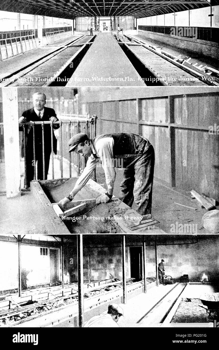 Ce guide pratique met l'accent sur la conception et la construction d'étables laitières modernes, en insistant sur la nécessité d'une disposition et d'un équipement efficaces. Il fournit des informations précieuses sur la construction d'un espace qui soutient les opérations d'élevage laitier, assurant la santé du bétail et maximisant la productivité. Le livre est une ressource utile pour les agriculteurs qui cherchent à moderniser leurs installations avec des pratiques contemporaines. Banque D'Images
