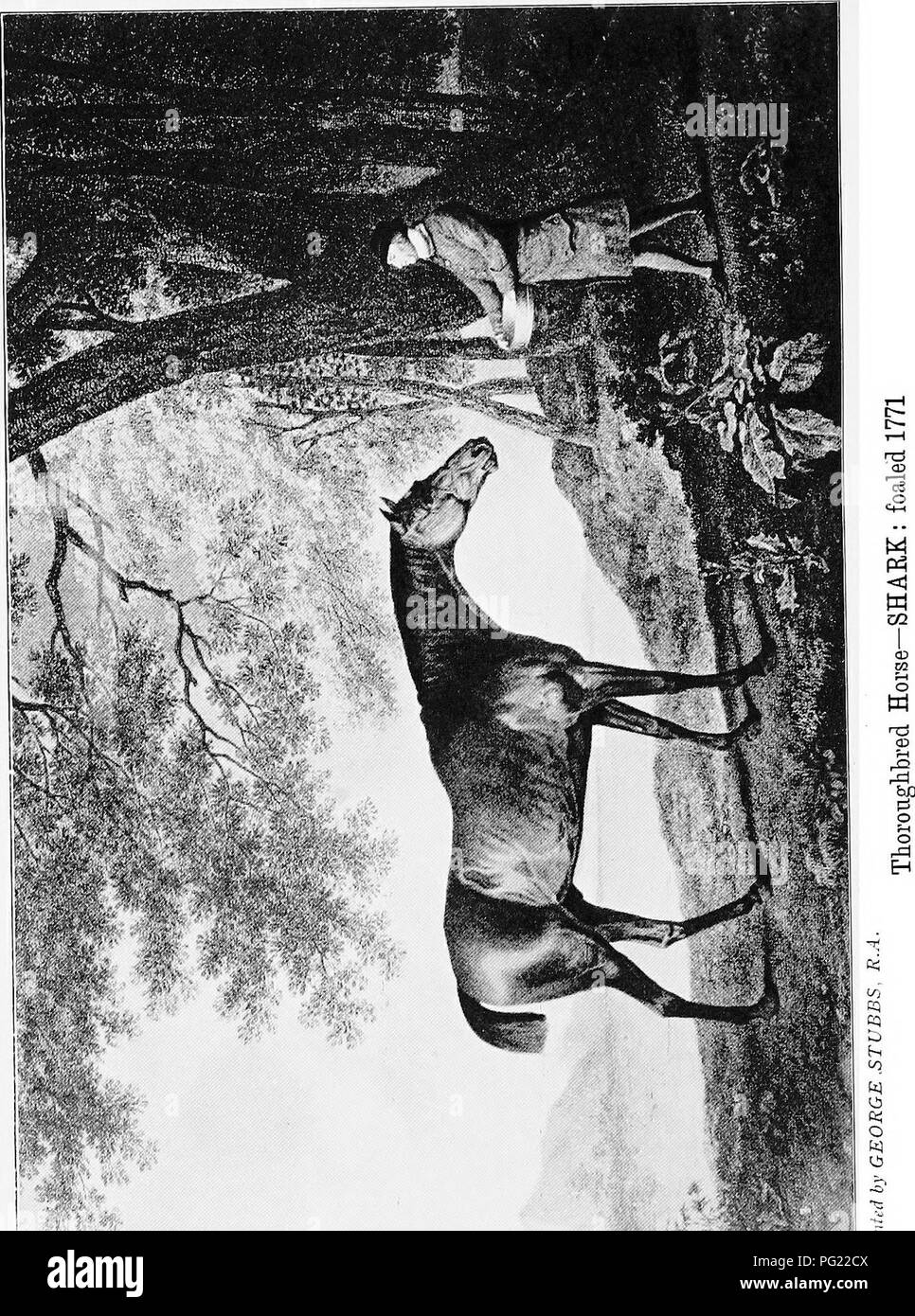 . Cheval en Angleterre et en Inde et de l'armée de chevaux à l'étranger. Les chevaux. . Veuillez noter que ces images sont extraites de la page numérisée des images qui peuvent avoir été retouchées numériquement pour plus de lisibilité - coloration et l'aspect de ces illustrations ne peut pas parfaitement ressembler à l'œuvre originale.. Gilbey, Walter, Sir, 1831-1914. Londres, Vinton &AMP ; Co. , Ltd. Banque D'Images