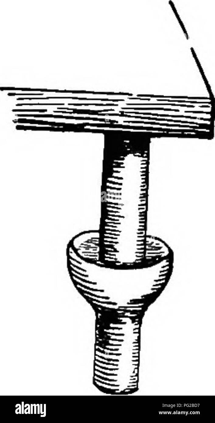 . Le guide de l'apiculteur : ou manuel du rucher . La culture de l'abeille ; les abeilles. 502 THB beb-kkspbr guide de bassins ; avec cela. Les fourmis en Californie sont tués en saturant les pistes avec de l'essence, puis brûler' tous. C'est un remède rapide, mais difficile pour les fourmis. Cette fourmi est rouge à l'exception des yeux et de l'abdomen, ce qui peut être presque tous les soldats noirs, grand, ou de black-com- mun des travailleurs. Il y a beaucoup de poils sur l'abdomen. Dans de tels cas, s'ils se produisent, il est préférable de mettre un doux mélange sonous poi- dans une boîte et permettre les fourmis d'entrer par la Fig. 289.. De la jambe, Hive-Stand-Original. Une ouverture trop Banque D'Images