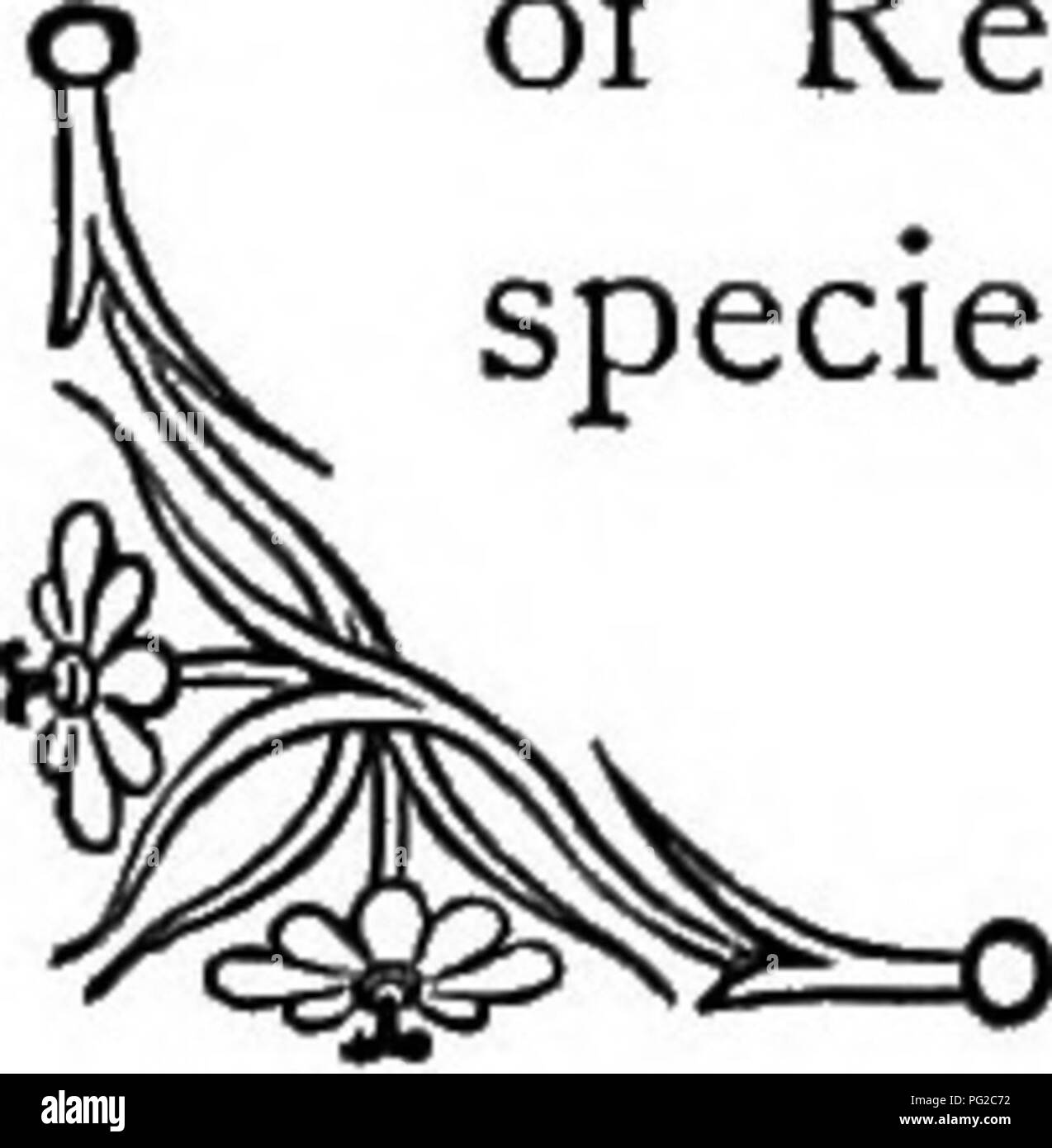 Cette œuvre explore le symbolisme des fleurs, la Glycine (Wisteria) représentant une amitié tendre et délicate. Les fleurs bleu pâle de la plante fleurissent au printemps, souvent abritées par des murs à l’aspect sud, et symbolisent des relations agréables. Banque D'Images