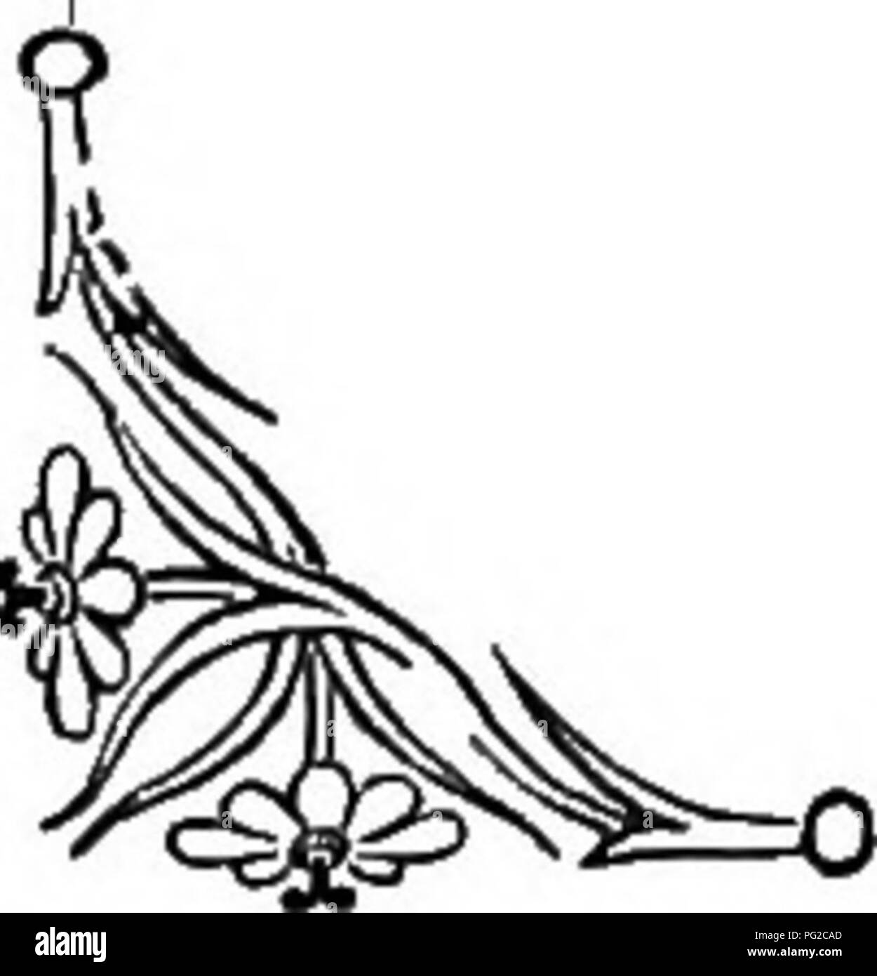 . Le langage des fleurs : ou emblèmes floraux, de pensées, de sentiments, et les sentiments ... Langage des fleurs. La floraison Fougère. La fougère floraison {^^un Osmunda r/w).-rêverie. C'est le meilleur de nos fougères. Il est parfois appelé l'osmonde royale. Son nom générique, Osmunda, est censée être celle d'une déesse, Reine de Thor, une divinité celtique, et a été appliqué à cette plante pour sa prétendue vertu en médecine. L'une de ses propriétés est d' inspirer ceux sous son influence, avec des rêves d'une grande force prophétique, où il est fait l'emblème de rêverie. Cette fougère pousse dans les la plupart des participants retraités s Banque D'Images