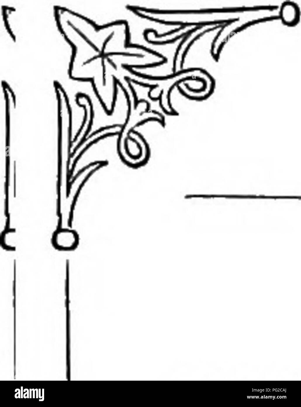 . Le langage des fleurs : ou emblèmes floraux, de pensées, de sentiments, et les sentiments ... Langage des fleurs. La floraison Fougère. La fougère floraison {^^un Osmunda r/w).-rêverie. C'est le meilleur de nos fougères. Il est parfois appelé l'osmonde royale. Son nom générique, Osmunda, est censée être celle d'une déesse, Reine de Thor, une divinité celtique, et a été appliqué à cette plante pour sa prétendue vertu en médecine. L'une de ses propriétés est d' inspirer ceux sous son influence, avec des rêves d'une grande force prophétique, où il est fait l'emblème de rêverie. Cette fougère pousse dans les la plupart des participants retraités s Banque D'Images