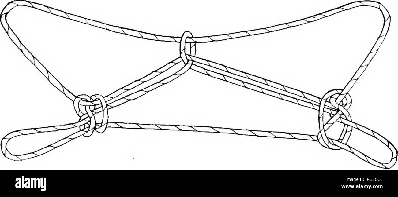 . Rapport de l'Expédition arctique canadienne 1913-1918. Des expéditions scientifiques. 144 B Canadian Arctic Expedition, 1913-1918 CXXVI. PBEciPiTOtrs montagnes le nom de cette figure est med cukaX-dyd, "une chaîne de montagnes." Il a été appris de certains autochtones du Mackenzie. Le Dr Gordon décrit une figure appelée "escaliers" qui ressemble à la figure du Mackenzie à bien des égards, mais je ne peut pas reconstruire sa figure de sa description. Garder une courte longueur de la chaîne sur le pouce. Avec les paumes des indices du côté distal prendre la chaîne qui passe d'un pouce à l'autre, pointi Banque D'Images