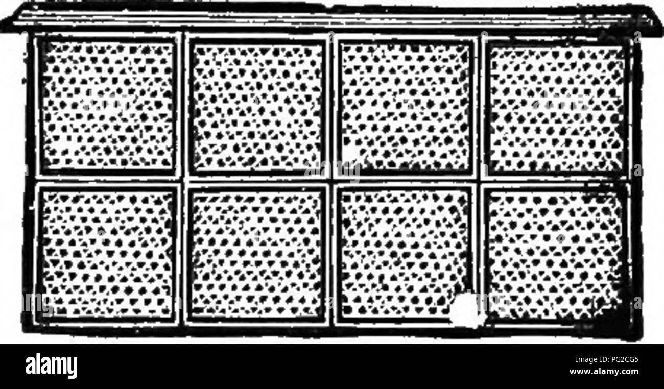 . Le guide de l'apiculteur : ou manuel du rucher . La culture de l'abeille ; les abeilles. Des supports ou des caisses. 209 tions dans les cadres est l'évident et amplement de galeries, invitant les abeilles pour les saisir. Mais dans notre désir de faire un grand et accueillant des ouvertures, la prudence est nécessaire que nous ne pas faire l'affaire, et d'inviter la reine d'intrusion dommageable. Nous avons donc Charybde et Scylla, et doit, par l'étude, afin d'apprendre à piloter entre d'éviter les deux dangers. M. Jones estime qu'en utilisant la division a fait de zinc perforé (Fig 65), la reine est maintenu à partir de la sec- tions, et ils peuvent être placés en sécurité dans Banque D'Images