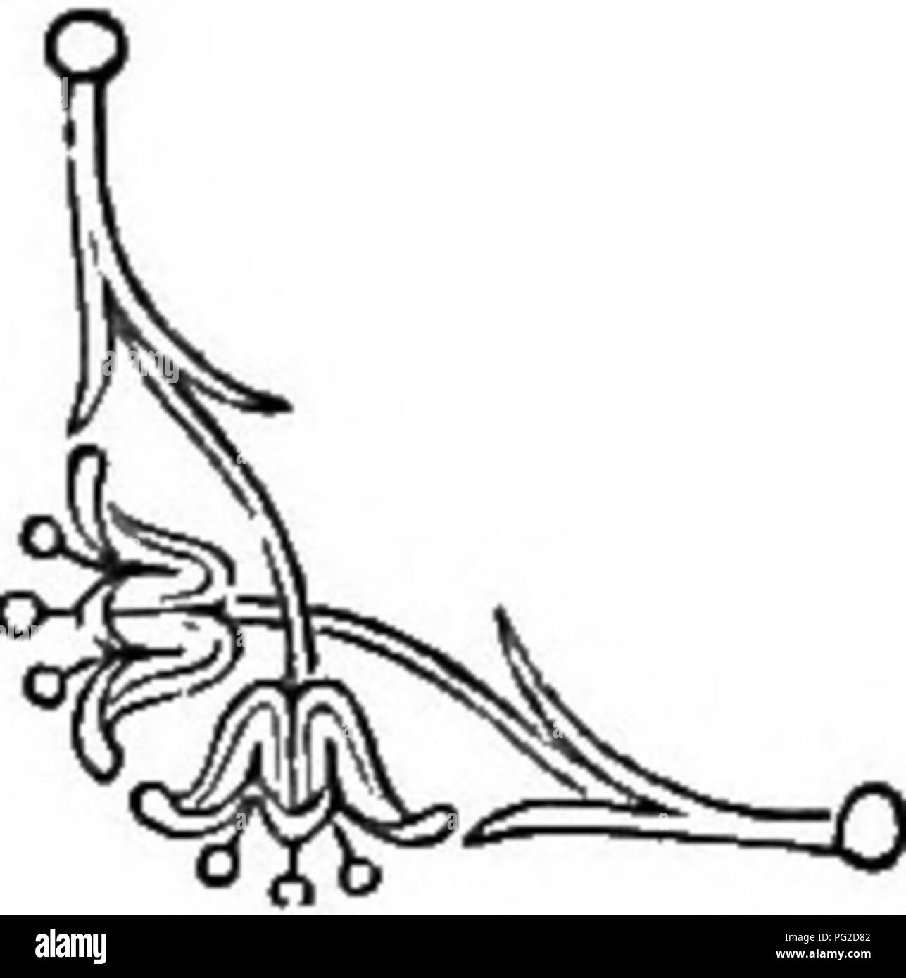 Le Langage Des Fleurs Ou Emblèmes Floraux De Pensées De
