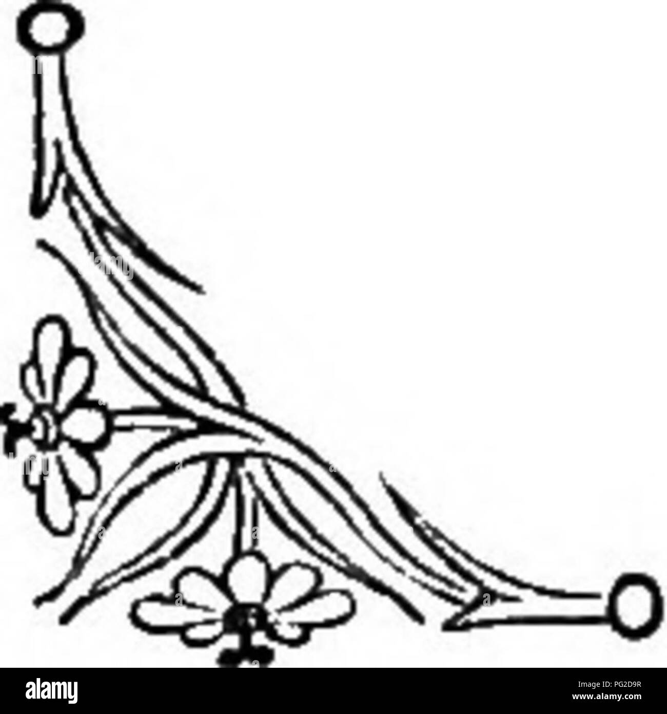 . Le langage des fleurs : ou emblèmes floraux, de pensées, de sentiments, et les sentiments ... Langage des fleurs. L'asphodèle. abonde avec du poisson blanc. Perséphone se promenait avec ses compagnes dans les domaines de l'Enna : là, dans le pré, surgi d'un narcisse de beauté impressionnante. Par- sephone vu, envie de les rassembler, se hâta loin de ses amis et mis en avant sa main pour cueillir la fleur, si lo ! La terre s'ouvrit, et Pluton ont saisi la jeune déesse et de l'alésage dans son chariot d'or dans son palais dans le Hadès, où il a fait sa triste son épouse et reine de ses domaines. L'Asphodèle Banque D'Images