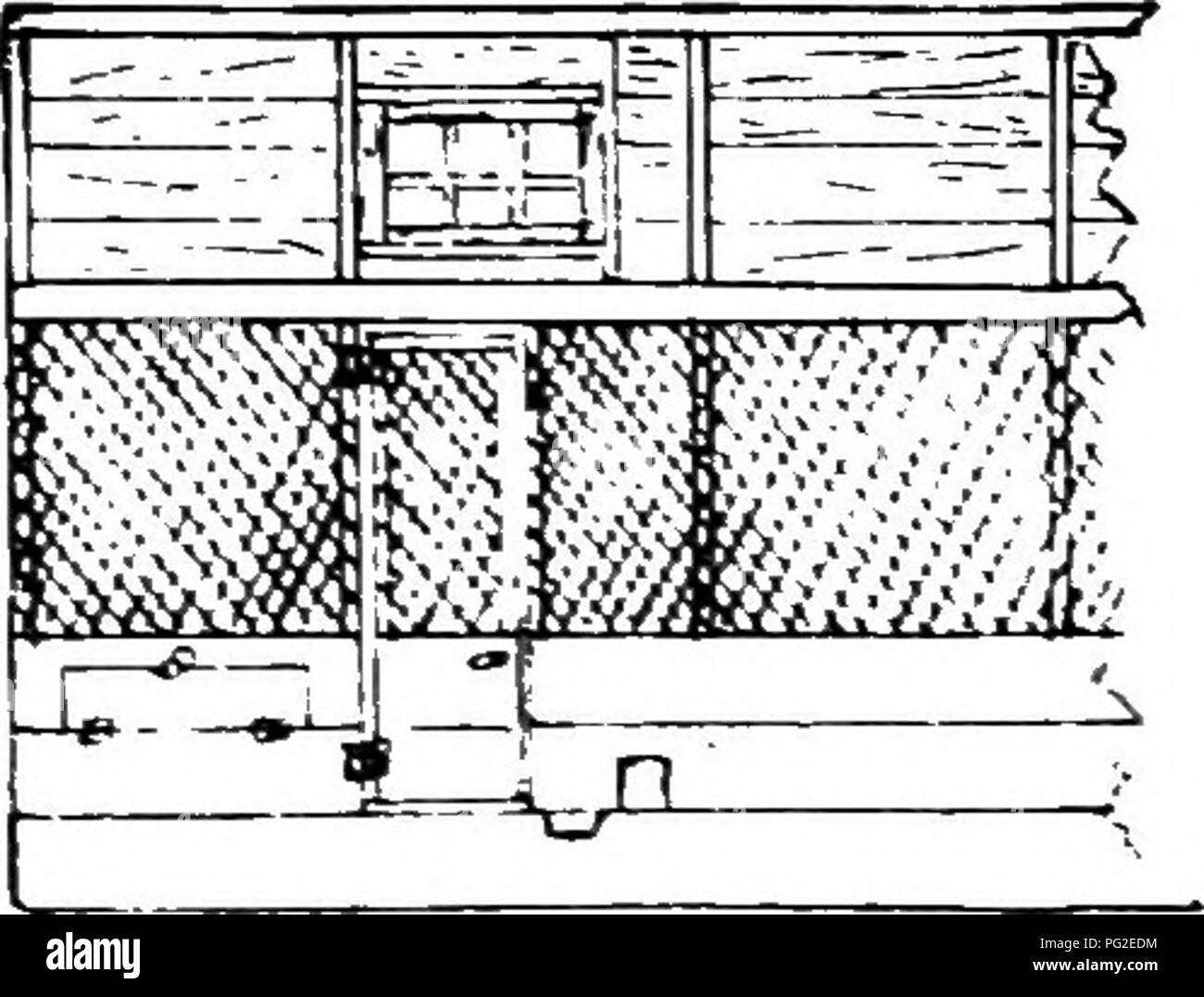 . Basse-craft. Un texte-livre aux éleveurs de volailles ... La volaille. . Veuillez noter que ces images sont extraites de la page numérisée des images qui peuvent avoir été retouchées numériquement pour plus de lisibilité - coloration et l'aspect de ces illustrations ne peut pas parfaitement ressembler à l'œuvre originale.. Robinson, John H. (John Henry), 1863-1935. Boston, I. S. Johnson &AMP ; co. Banque D'Images