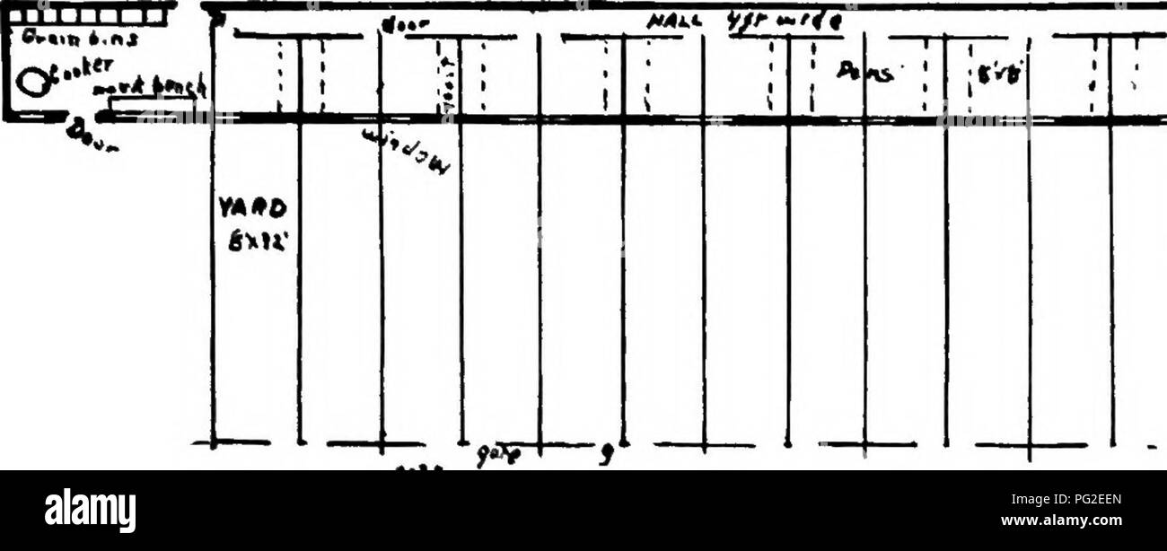 . Basse-craft. Un texte-livre aux éleveurs de volailles ... La volaille. UL PO TR r- de l'artisanat. 31. ,Â"â ¢" t ' 1 1 â1 ? YAÂ« 0 Fig. 11. Maison continue avec une promenade. storv bâtiment sera utilisé comme work shop, cook prix et salle de stockage. Le terrain dhnensions ce bâtiment sont de 12 x 20 pi. Il est à 14 m de hauteur à l'avant-toit, 16 pi. au sommet de toit ; la première histoire 8 ft. en clair. Le diagramme montre également la platía de verges. Le petit yards S x 32 pi. correspondent aux divisions de la chambre. Pour tous les deux petits mètres il y a une grande cour 16 X 64 pi., est conservé dans l'herbe. La capacité de la maison est un h Banque D'Images