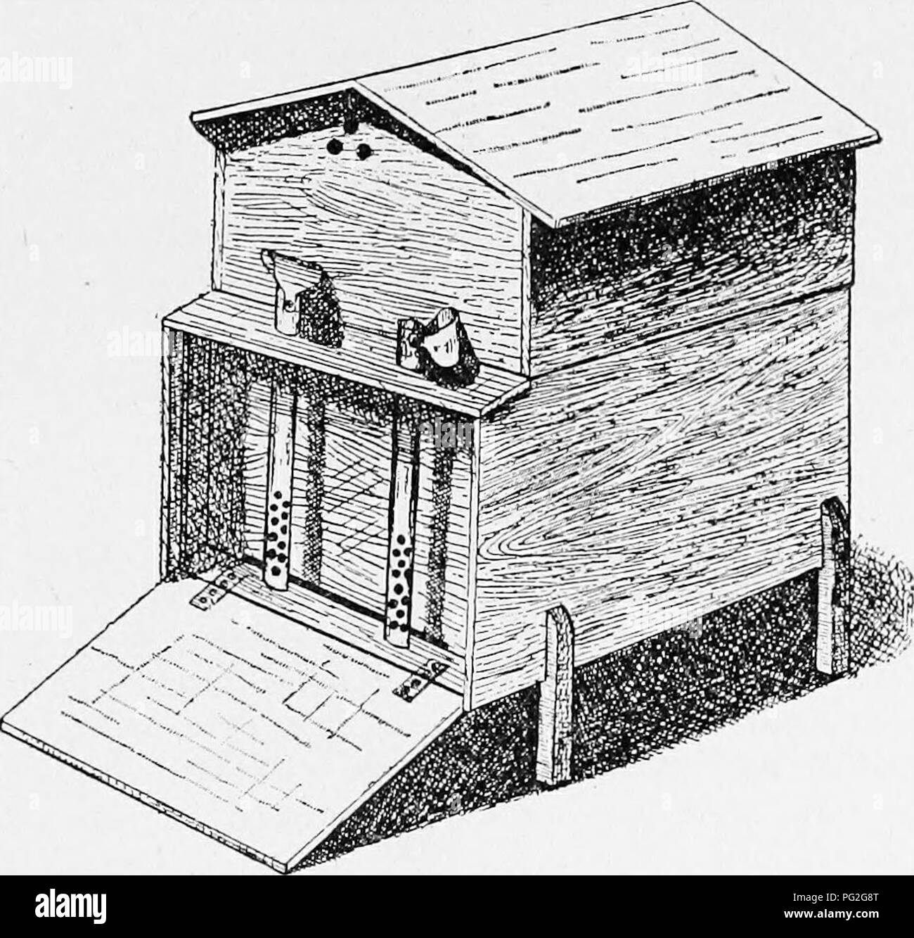 . Sur la ruche Langstroth et miel-bee. Les abeilles. OUT-DOOE mise à l'abri. 353 les confiner dans wlieu le temps est assez chaud pour les inciter à l'étranger. Si le soleil est chaud et le ^-ound couverte d'un nouveau-falleu la neige, la lumière peut aussi aveugle les abeilles, qu'ils entreront dans cette neige laineux, et rapidement périr. Même à ces moments, il n'est guère souhaitable de les confiner dans leur liives. Une voisine de la nôtre a tué quatre colonies, tout ce qu'il avait, par la fermeture de la salle- transes, avec du fil de tissu pour l'hiver. On lui avait conseillé de le retirer, mais il ne l'a pas fait parce que quelqu'un lui avait dit que ses abeilles se perdre je Banque D'Images