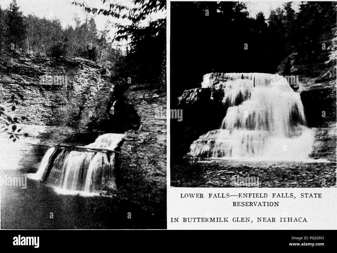 . Un plan du parc d'état de New York, avec une proposition pour le nouveau parc d'obligations. Parcs nationaux. Près de ITHACA se joint à l'autoroute de l'état. Il y a une piscine naturelle qui peut être très grande si l'état prend la propriété. L'un des plus beaux emplacements de camping dans la région des lacs Finger est trouvé au pied de Buttermilk Falls. Fillmore de naissance et Glen Millard Fillmore, 13e président des États-Unis, est né dans la région des lacs Finger près du village de mo- ravia. Le bureau de l'Association des lacs Finger pense que son lieu de naissance doit être préservé en tant que shri national Banque D'Images