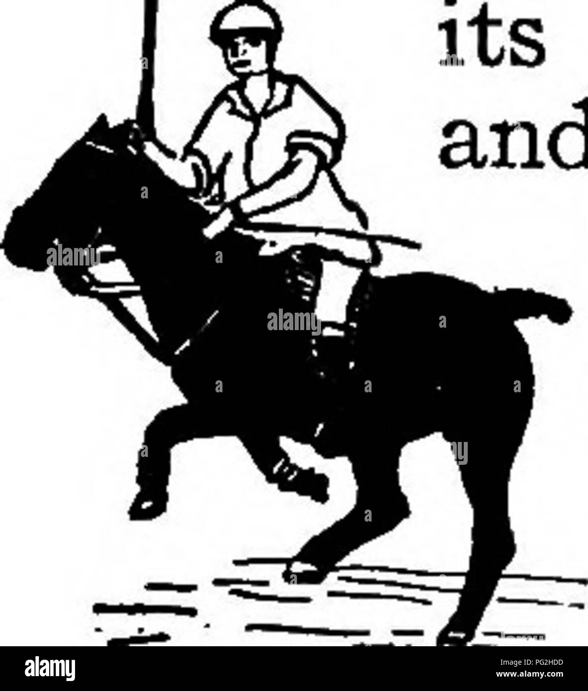 Ce livre couvre divers animaux de compagnie, en se concentrant sur le poney comme une race animale spéciale. Il décrit l'histoire des poneys, leur résilience et la façon dont ils ont été développés en raison des conditions environnementales. Les poneys sont classés comme chevaux sous une certaine hauteur et sont reconnus pour leur nature robuste dans les climats difficiles. Banque D'Images