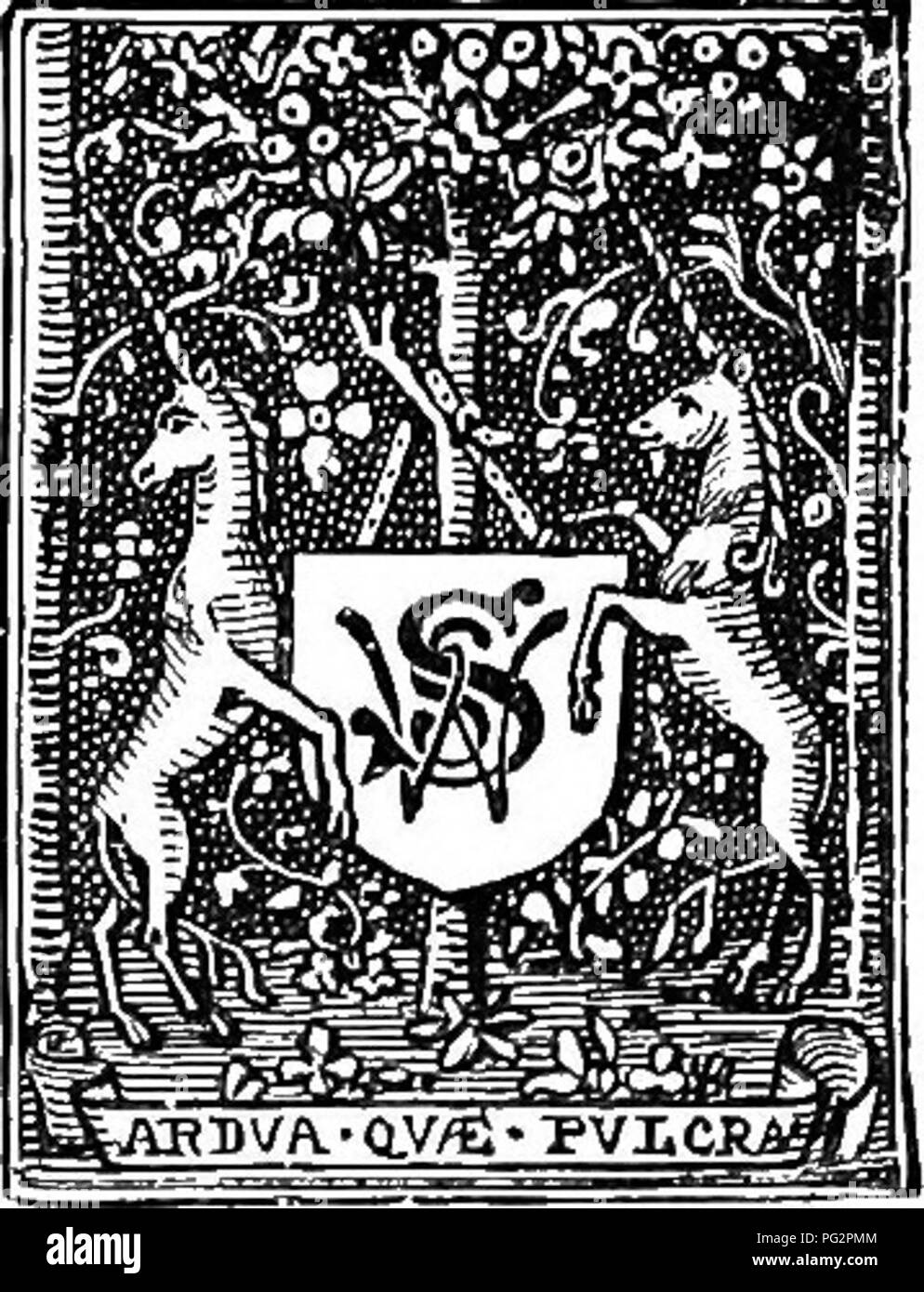 Ce livre explore les théories et les principes scientifiques derrière les couleurs et les motifs trouvés sur les animaux. Il discute de divers facteurs influençant la coloration des animaux, y compris la génétique, la sélection naturelle et les adaptations environnementales. Le travail approfondit les aspects biologiques et évolutifs des marquages et de la coloration des animaux dans le règne animal. Banque D'Images