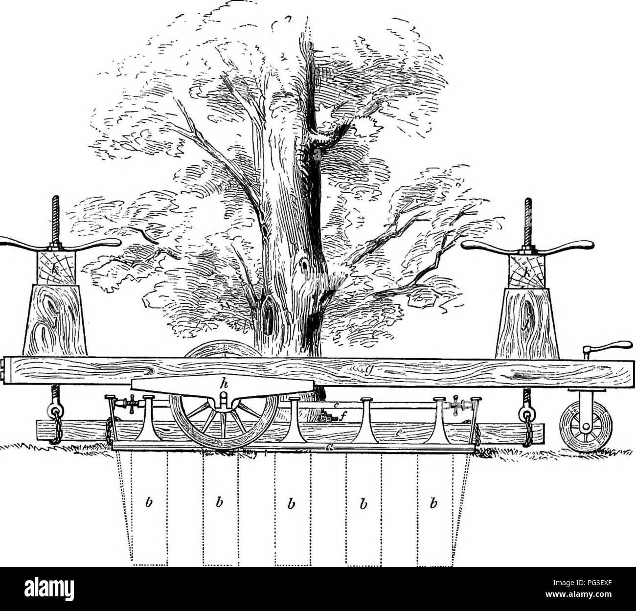 . Le livre du jardin. Le jardinage. La plantation. 385 les préserver, qui, monsieur m'remarques Glashan, est encore une question très indécis, il peut être fait facilement par la conclusion hors de leur position avec les perceurs et la conduite d'une faucheuse sur chaque côté d'eux, et ainsi les préserver ensemble. Bien que 10 pieds est la dimension décrit ici (comme c'est déjà fait), il peut être réduit ou agrandi comme l'arbre ou de l'exploitant peut exiger. Fig. 146.. M*6SHANGHAI S LE REPIQUAGE LA MACHINE. Élévation latérale. Nous pensons que cette machine serait beaucoup amélioré et rendu plus généralement utiles, si le châssis ont été prolongées jusqu'à Banque D'Images