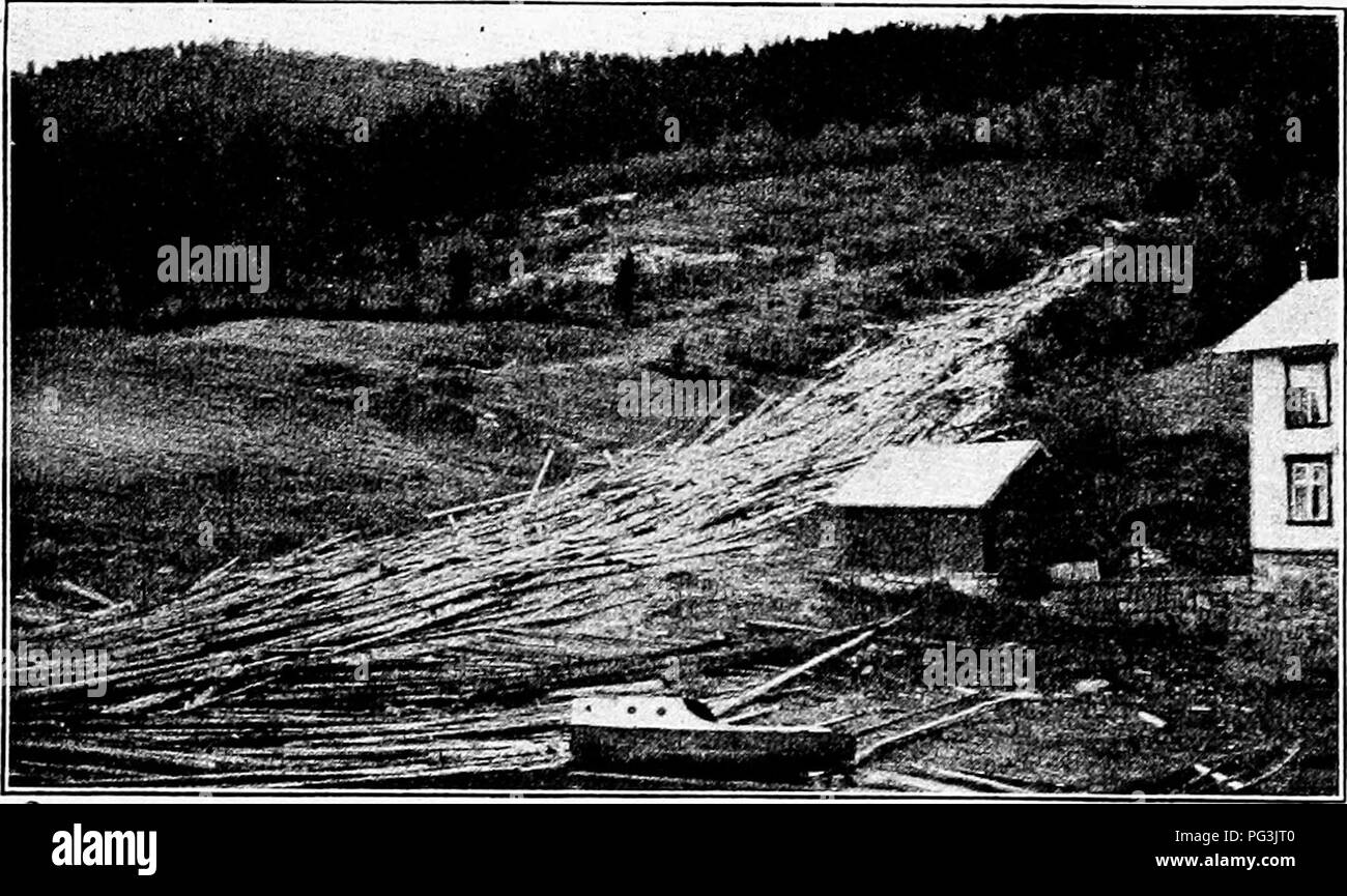 . Impressions de la foresterie européenne : lettres écrites pendant six mois d'une visite en Angleterre et sur le continent . Les forêts et la foresterie. Il n'est guère d'être informés qu'une visite d'un pays étranger sans au moins une certaine connaissance de la langue, mais en Norvège jusqu'à obtenir à propos de va, le voyageur a parlant anglais mais peu de diffculté. Le problème vient quand il commence à le terminer à la dis- cussion d'une question technique que l'expression livres pas de wot. Mais notwithstand- ment les différences dans les coutumes et les affaires tougue, un Américain se sent très bien à la maison en Norvège. Ils hav Banque D'Images