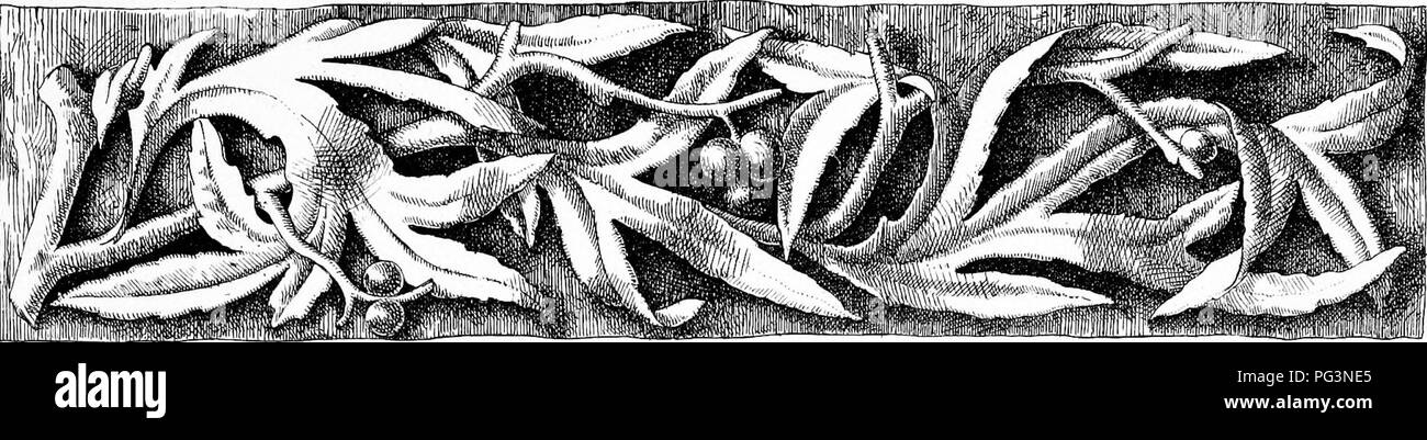 Ce livre de F. Edward Hulme explore la croissance naturelle et le traitement ornemental des plantes. Il offre des conseils détaillés sur l'entretien des plantes et leurs utilisations décoratives dans les jardins, en mettant l'accent sur les arrangements esthétiques et les techniques d'aménagement paysager pour diverses espèces de plantes, en particulier celles utilisées dans les décors ornementaux. Banque D'Images