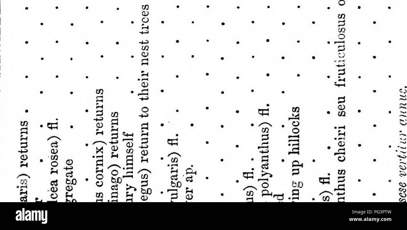 . L'histoire naturelle de Selborne : avec des observations sur diverses parties de la nature ; et le calendrier du naturaliste . L'histoire naturelle. . Veuillez noter que ces images sont extraites de la page numérisée des images qui peuvent avoir été retouchées numériquement pour plus de lisibilité - coloration et l'aspect de ces illustrations ne peut pas parfaitement ressembler à l'œuvre originale.. Blanc, Gilbert, 1720-1793 ; Jardine, William, Sir, 1800-1874 ; Jesse, Edward, 1780-1868. Londres : H. G. Bohn Banque D'Images